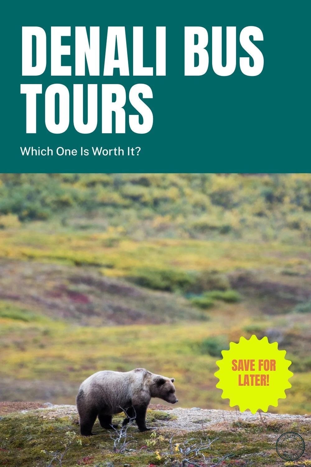 Budget guide to Denali National Park bus tours