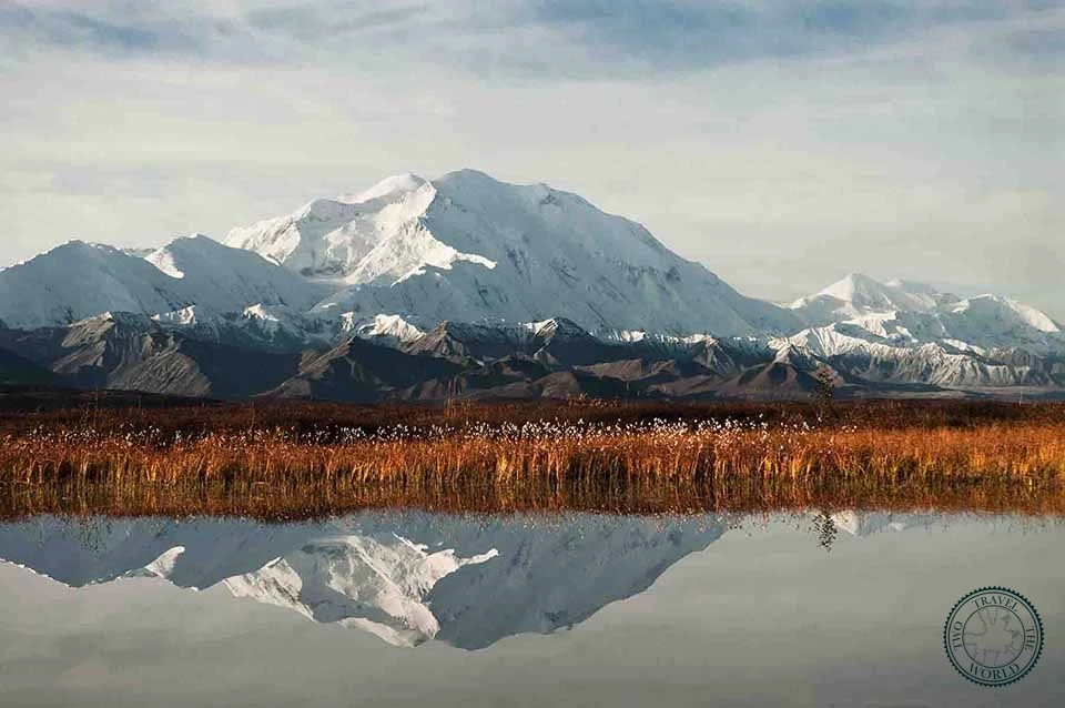 Denali Bus Tours 2026: An Honest Comparison