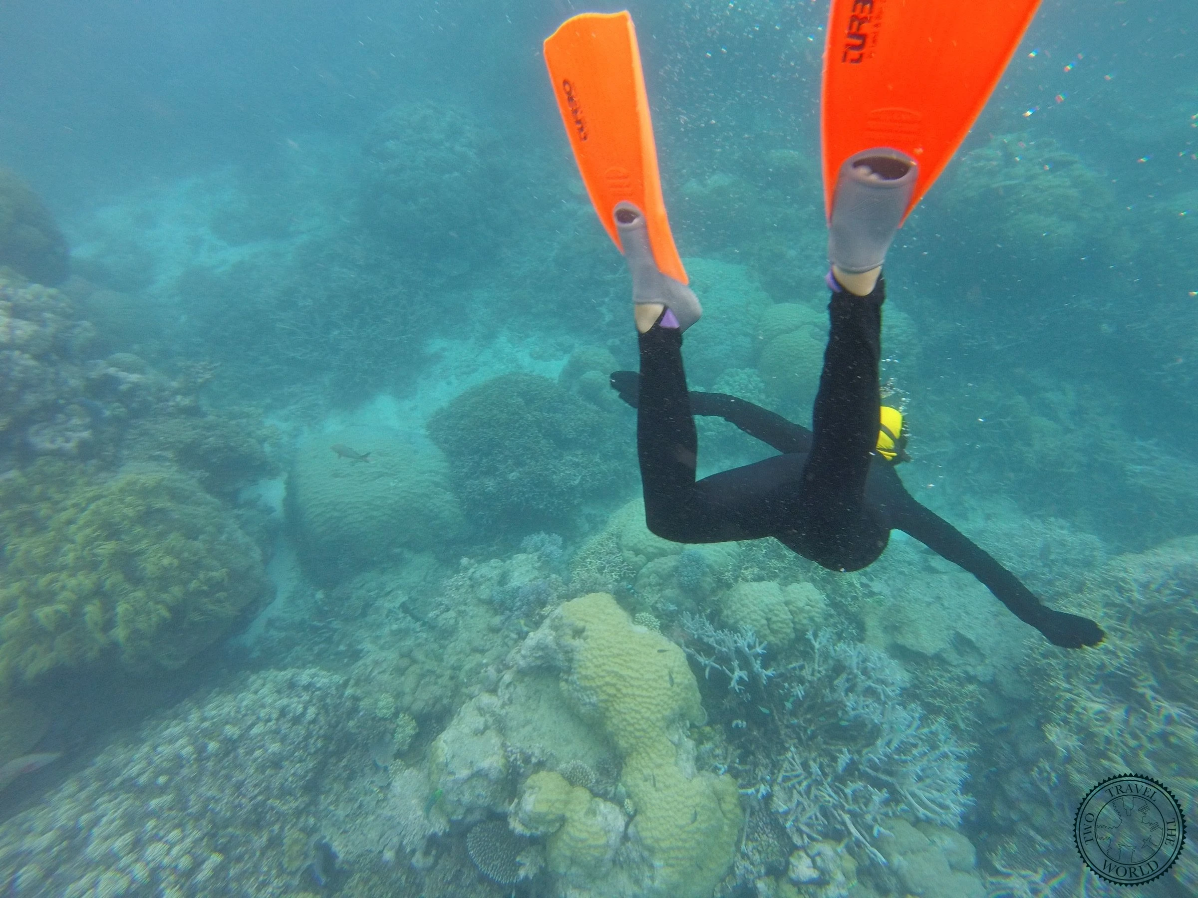 La Grande Barrière - photo 5