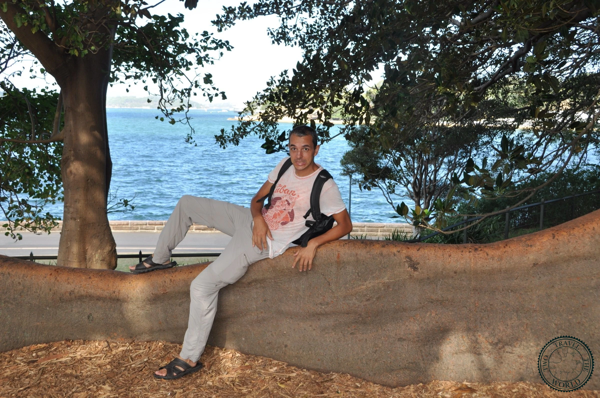 Le Jardin Botanique Royal De Sydney - photo 4