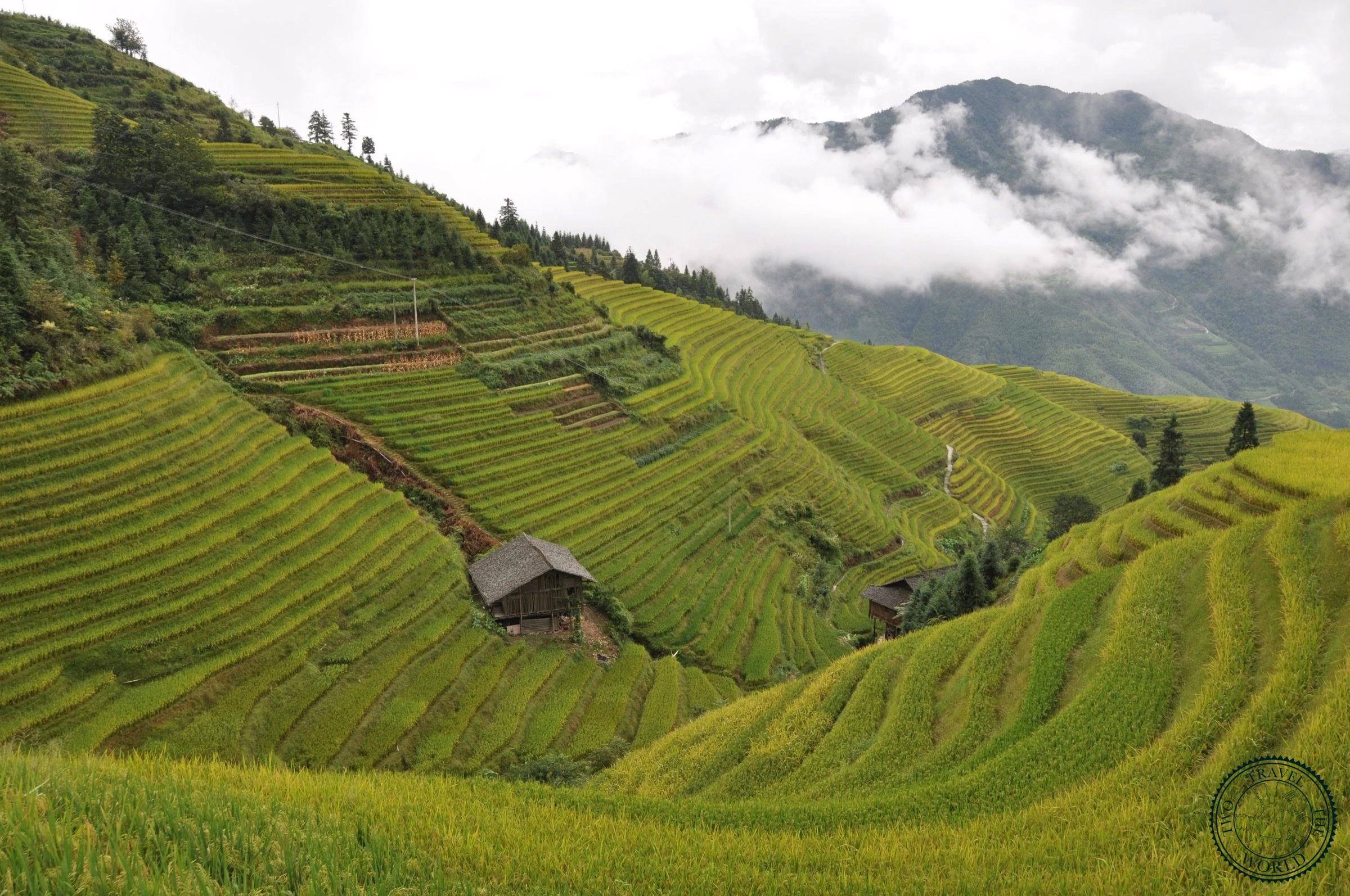 The Longsheng Rice Terraces - photo 1