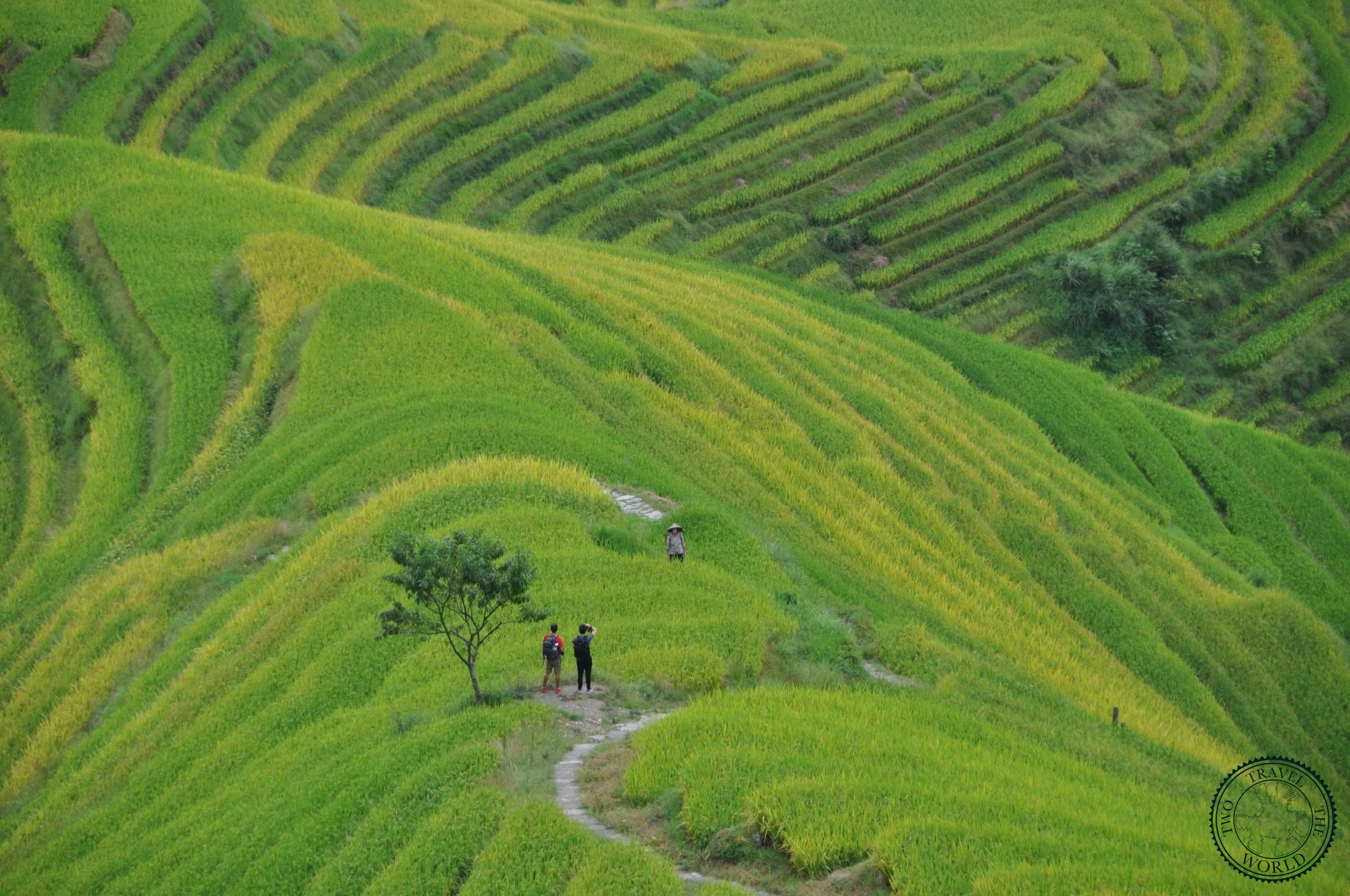 The Longsheng Rice Terraces - photo 2