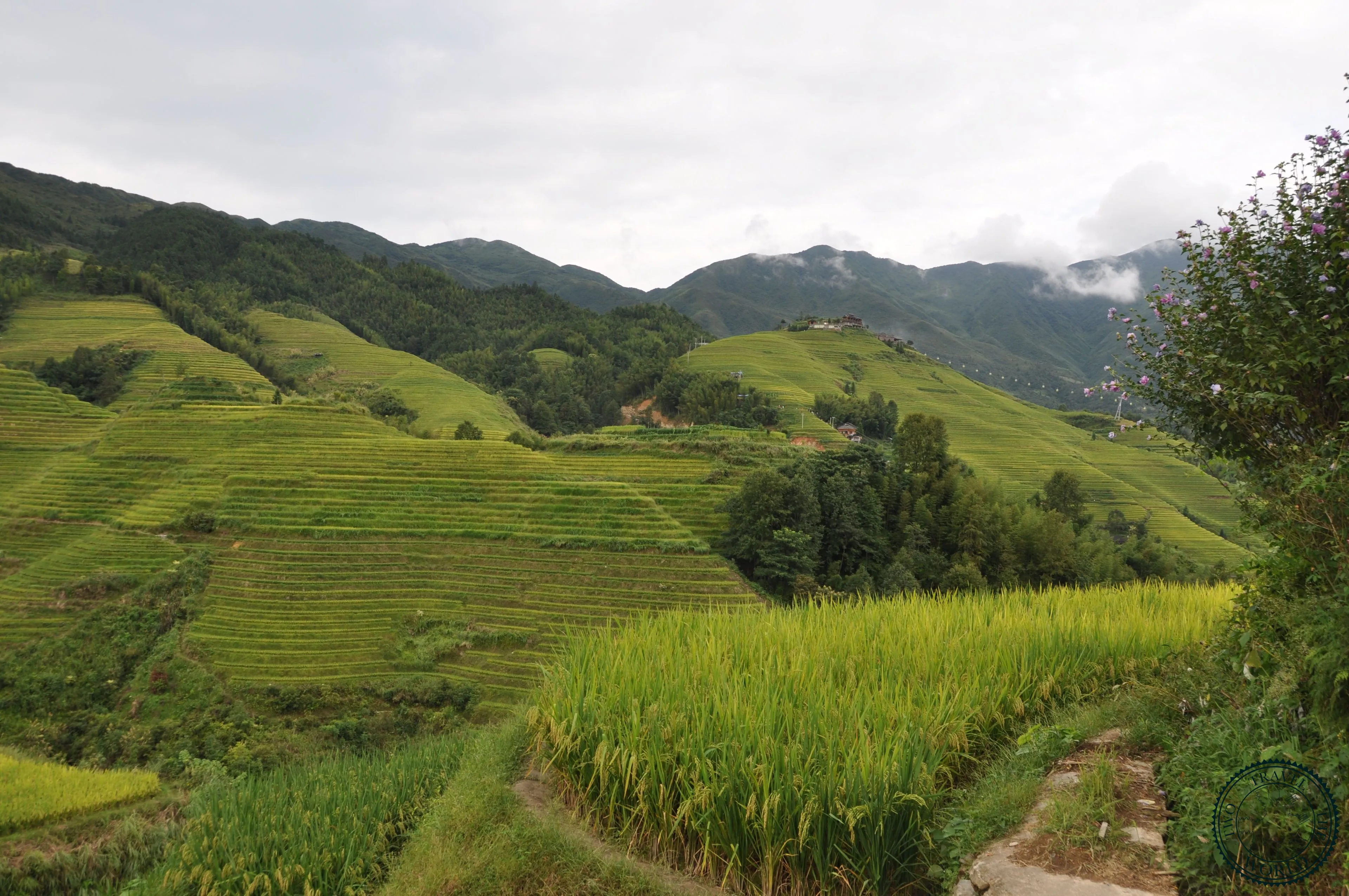 The Longsheng Rice Terraces