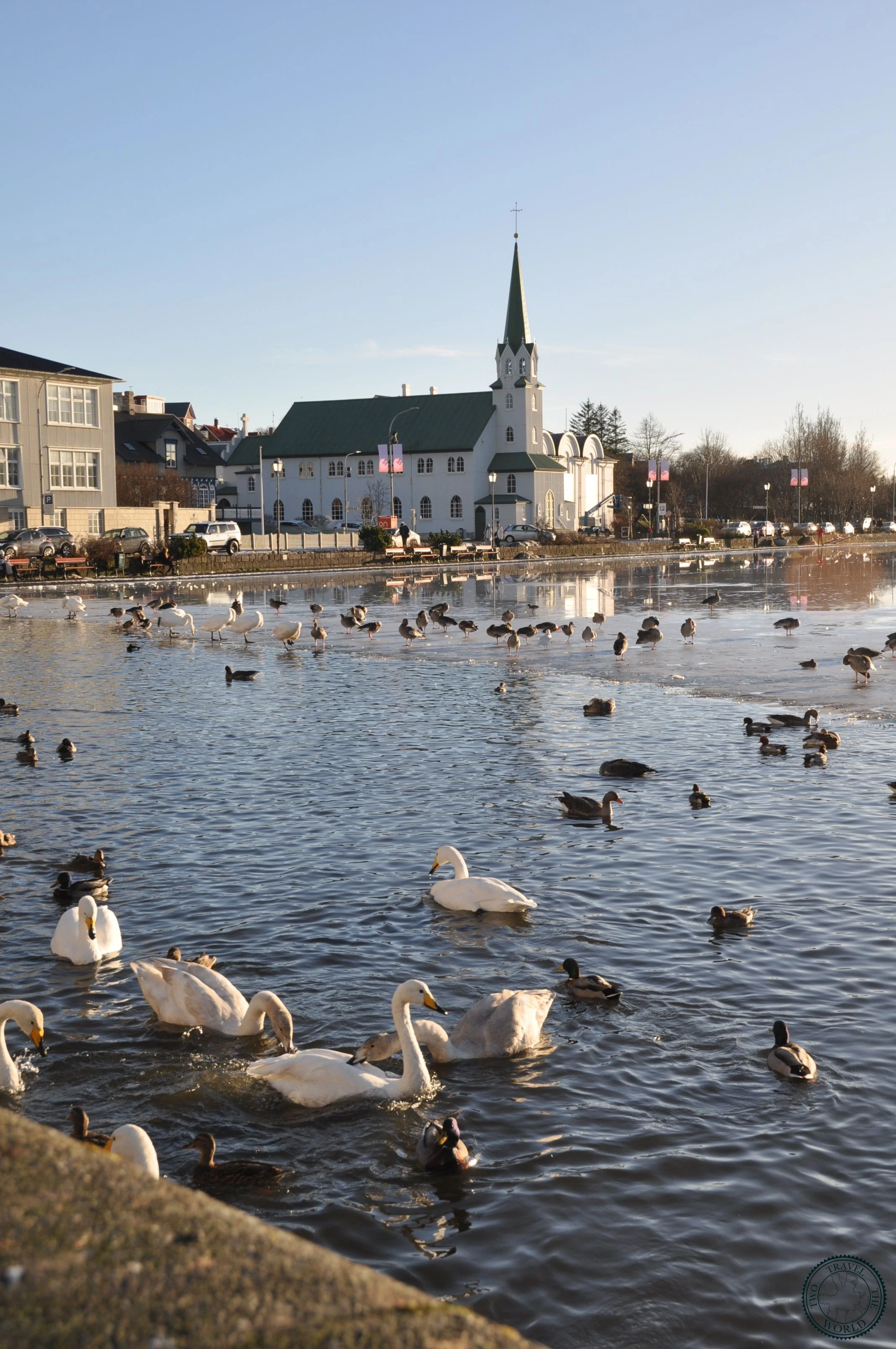 Iceland Reykjavik 21