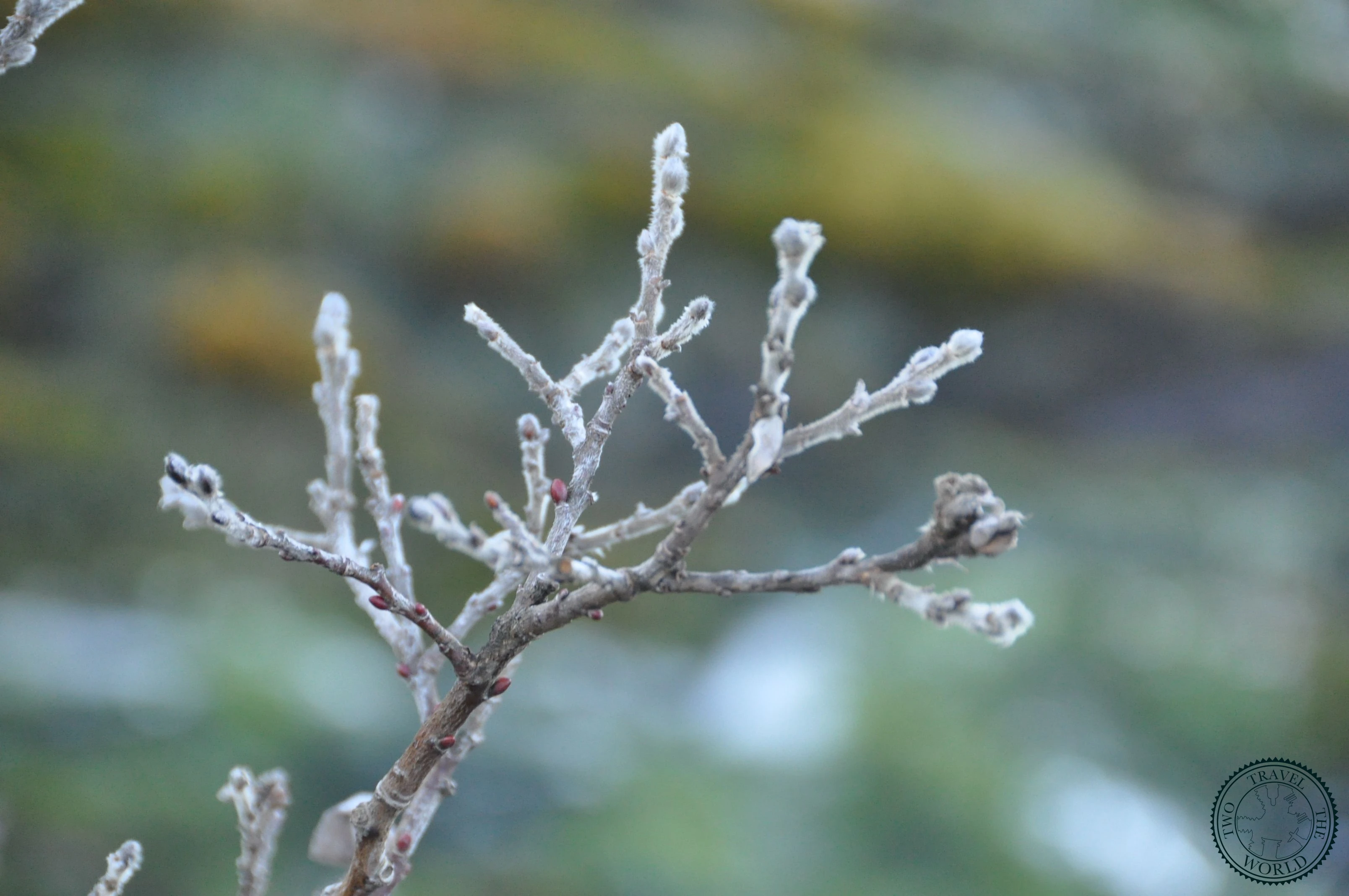 Gjáin Valley - photo 9