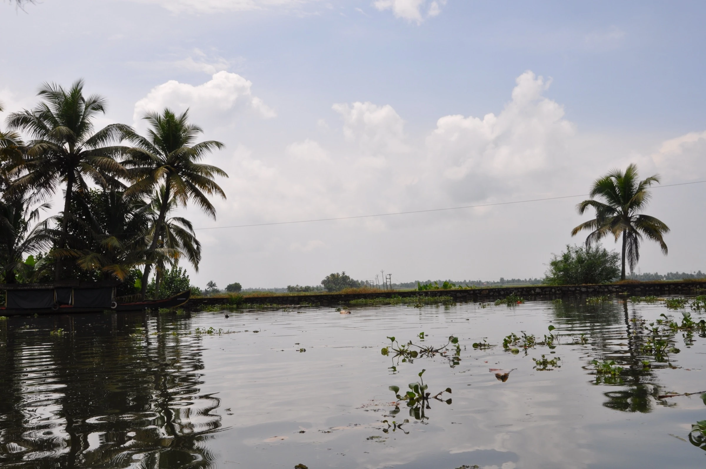 Alappuzha