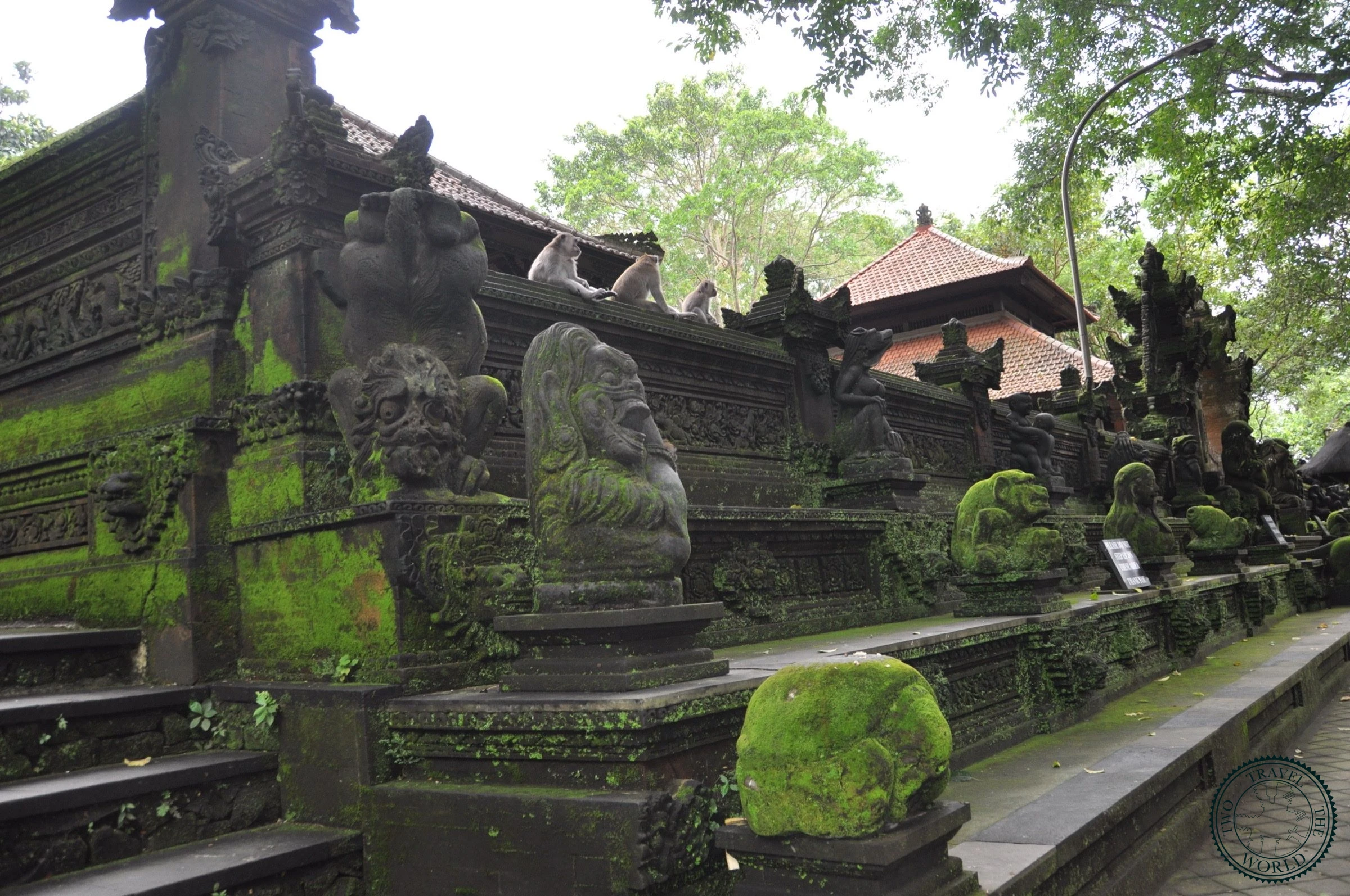 La Forêt Des Singes D'ubud - photo 1