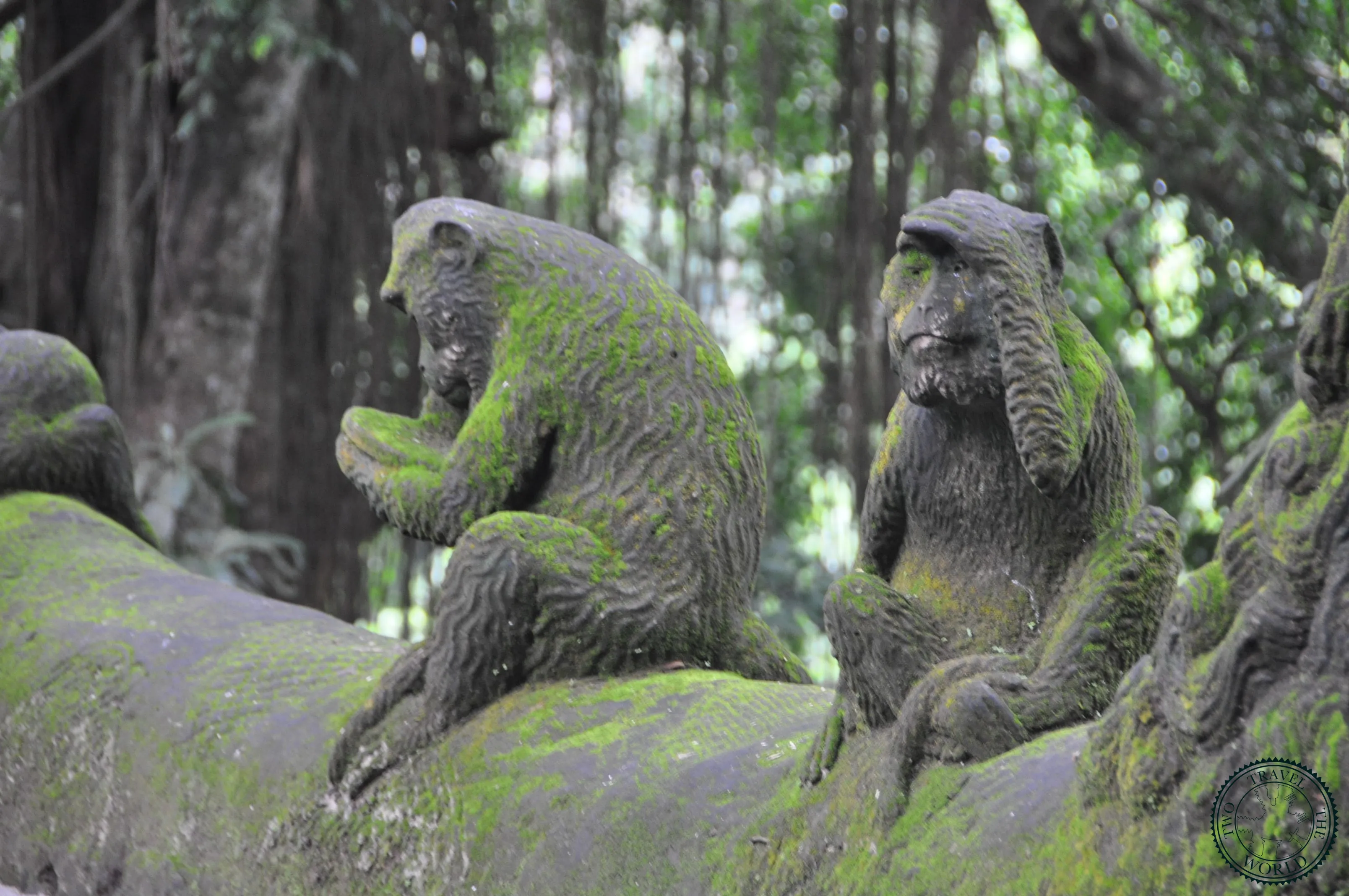 La Forêt Des Singes D'ubud