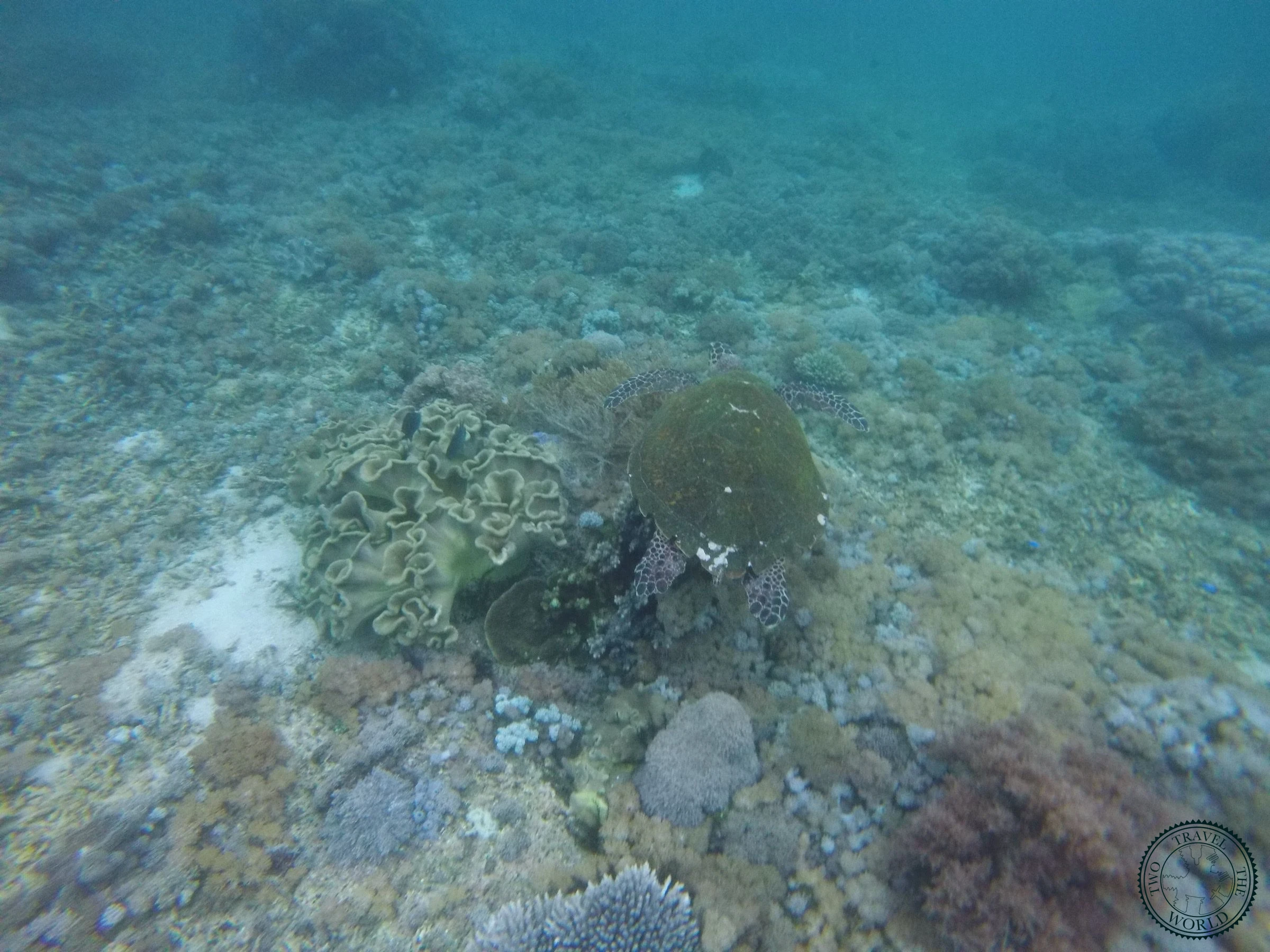 La Plongée A Gili Air - photo 1