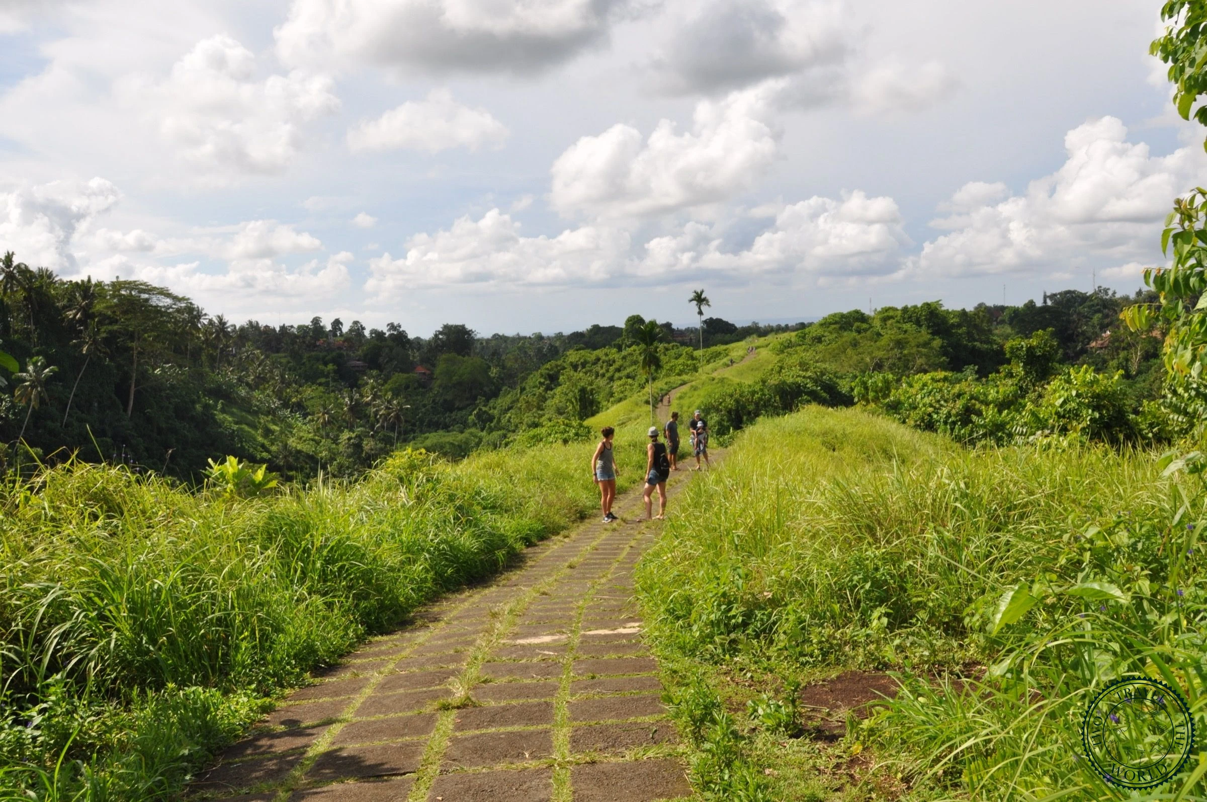 La Randonnée De Campuhan Ridge - photo 3