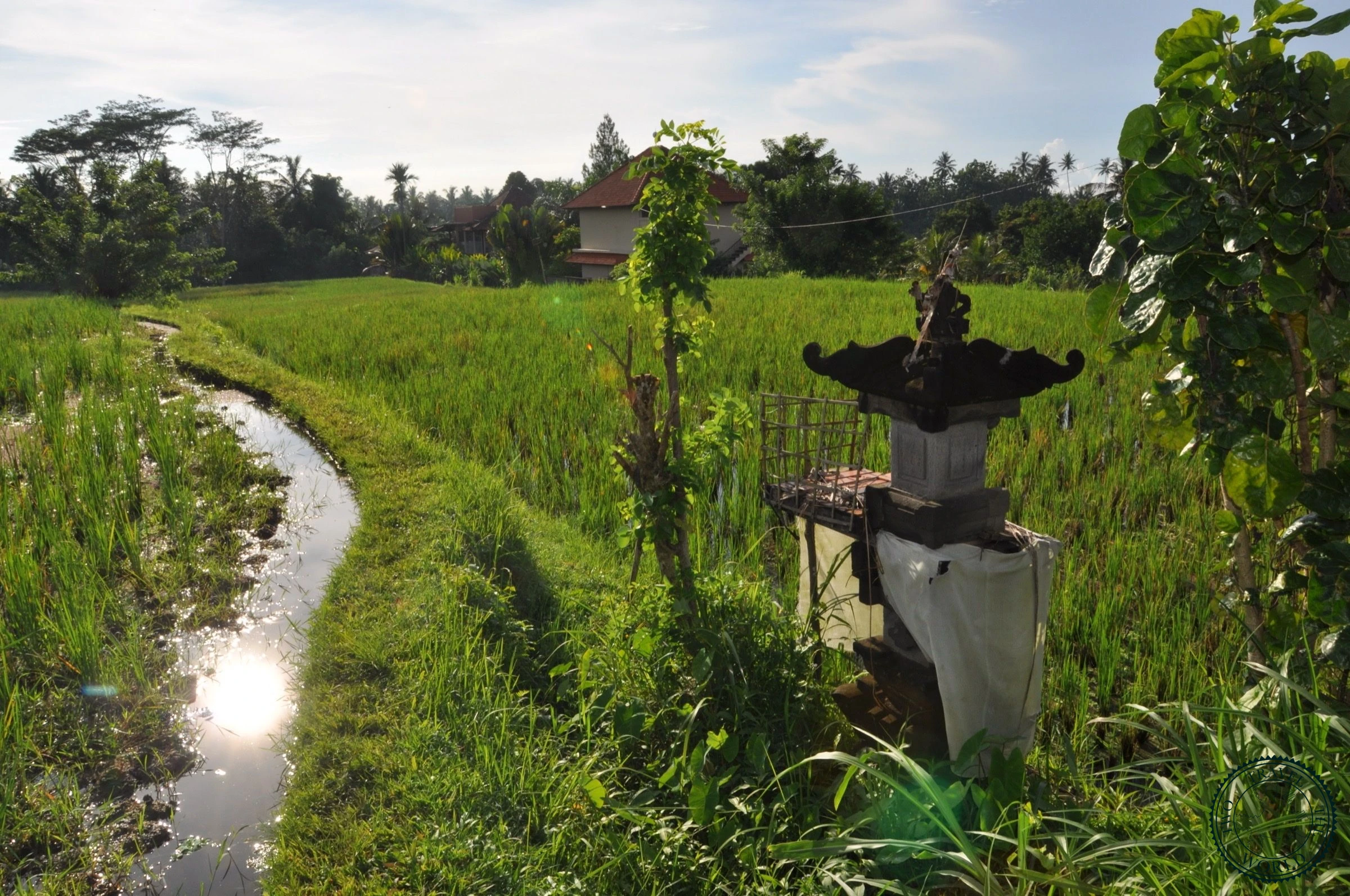 La Randonnée De Campuhan Ridge - photo 6