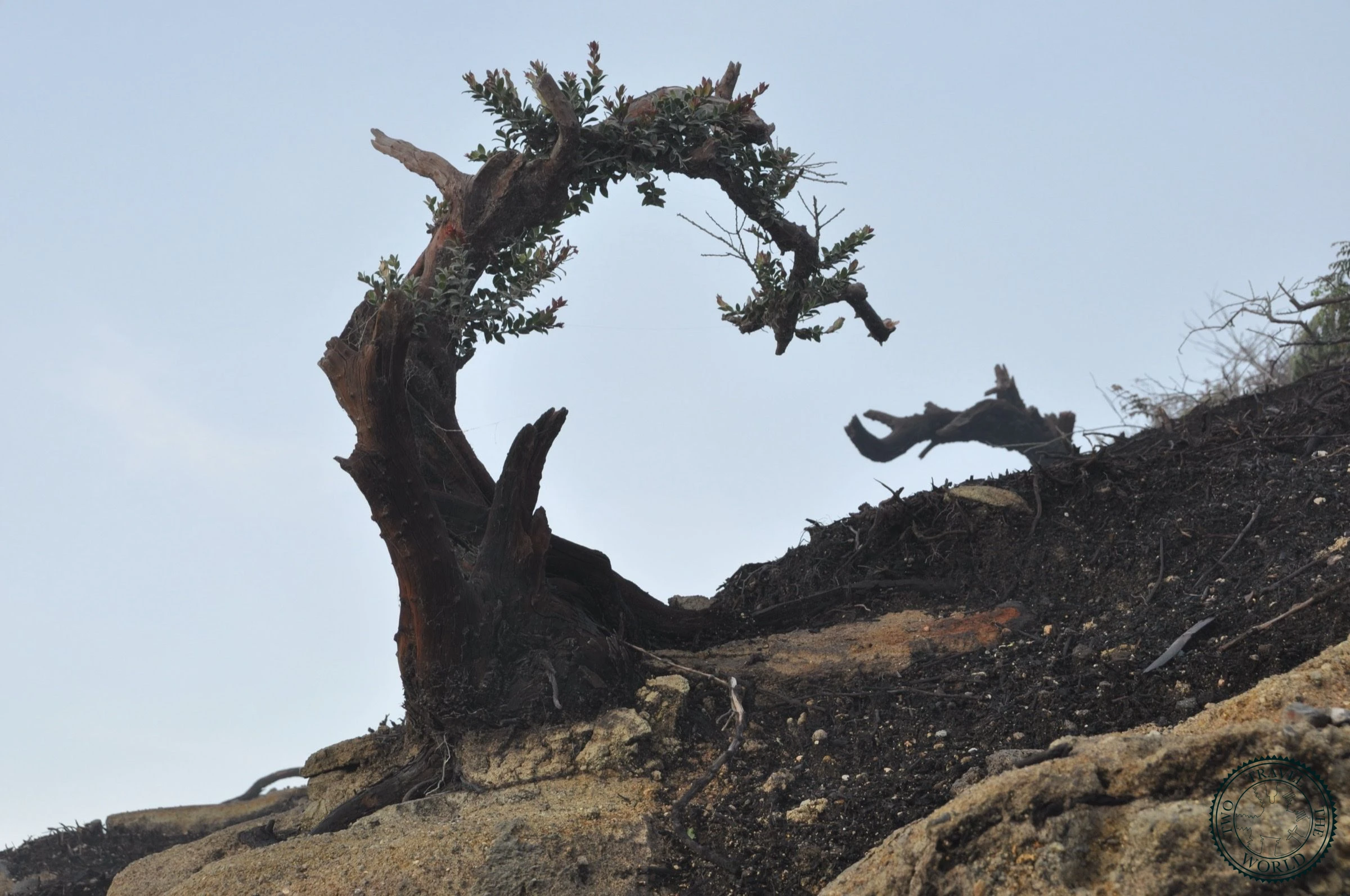 Le Mont Kawah Ijen - photo 8