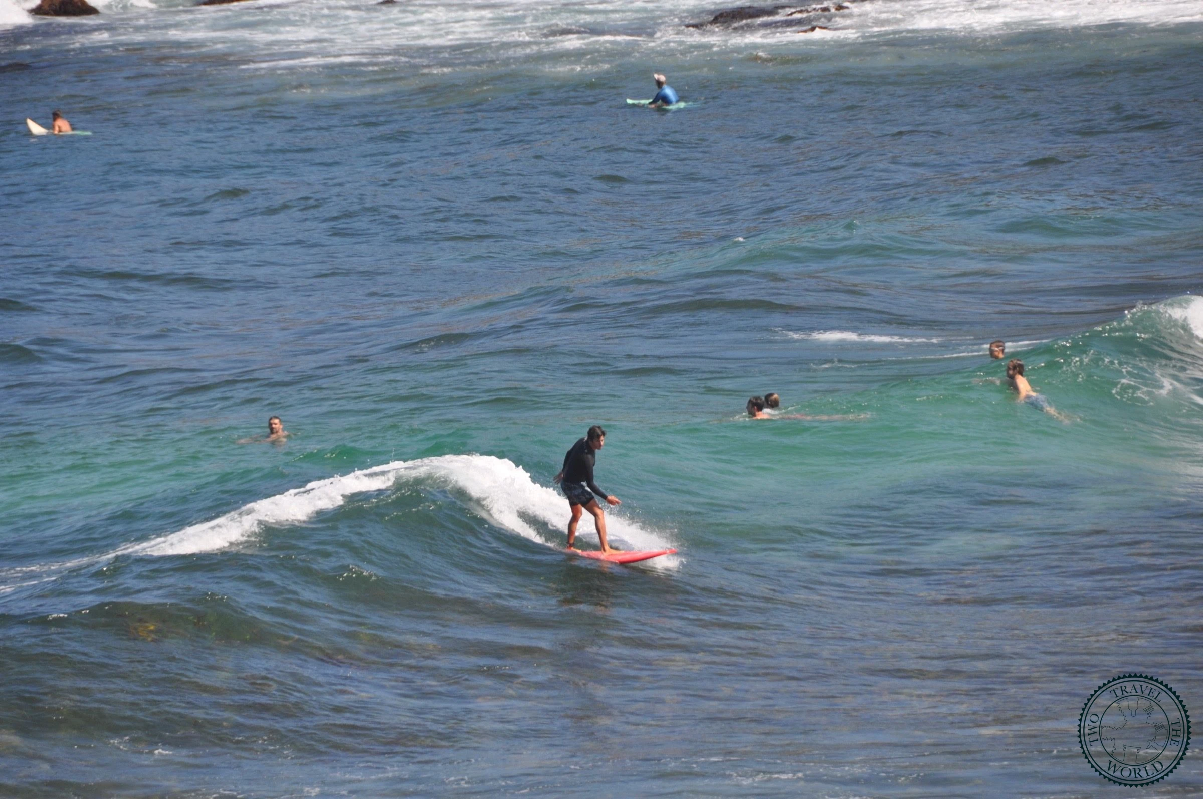 Le Surf A Canggu - photo 2