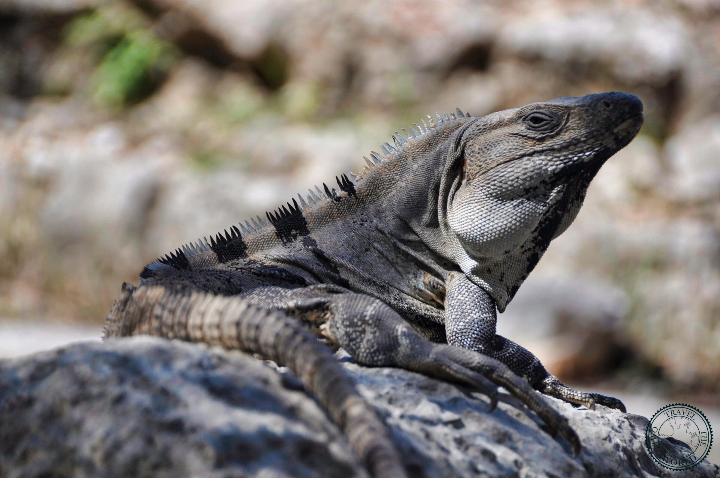 Chichen Itza - photo 1