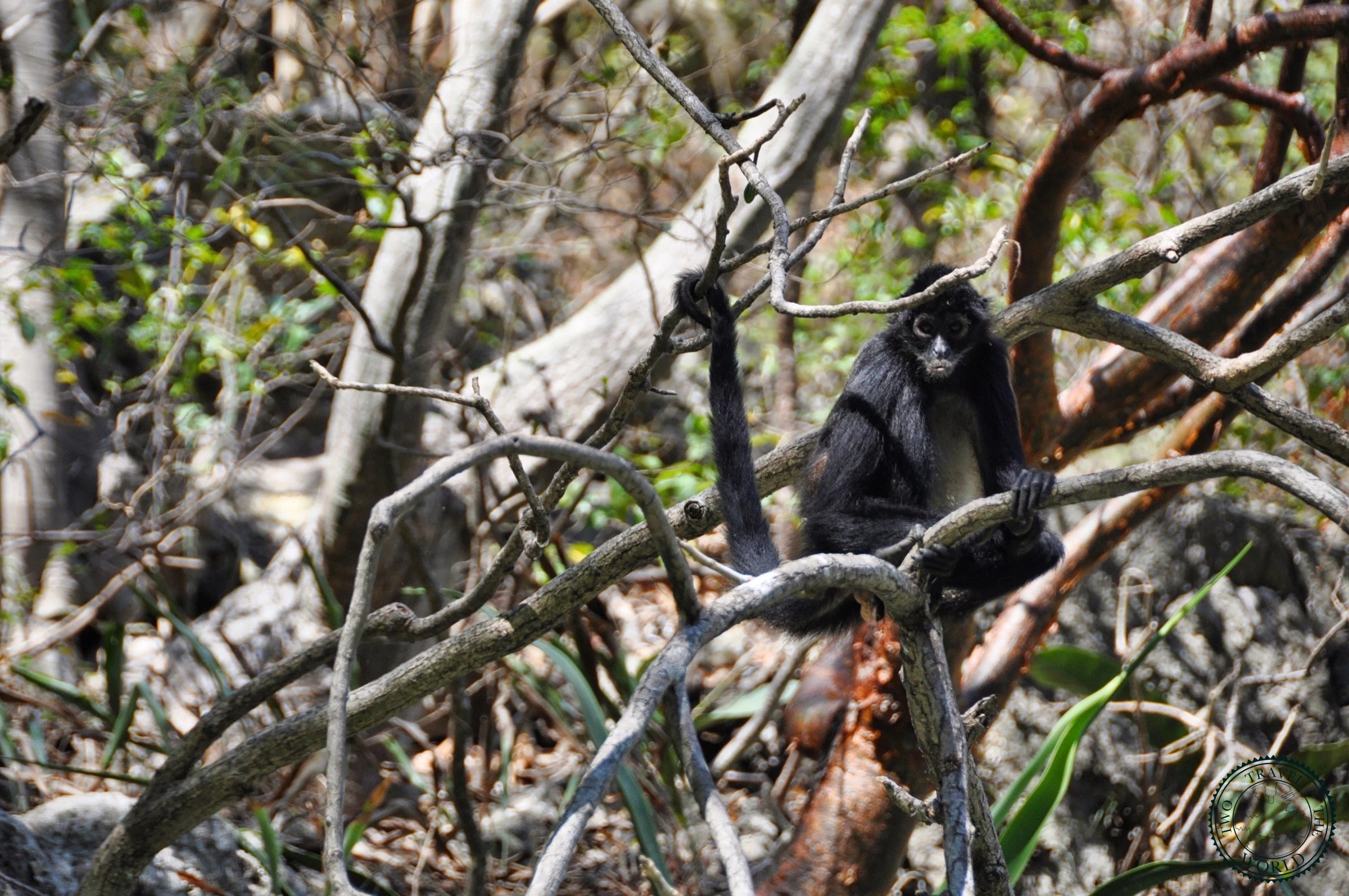 Le Canyon De Sumidero - photo 1