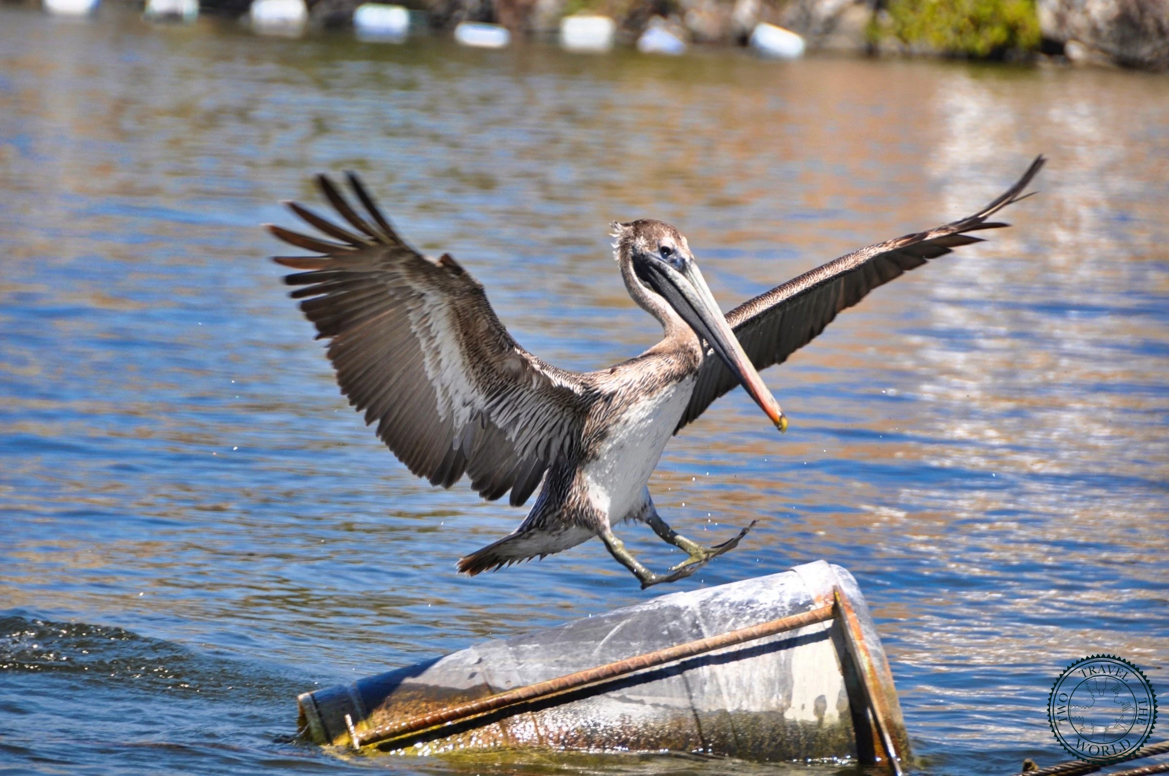 Le Canyon De Sumidero - photo 5
