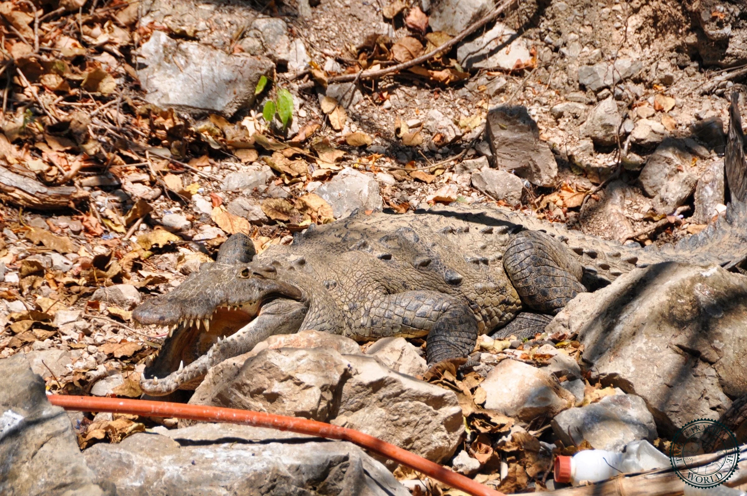 Le Canyon De Sumidero - photo 6