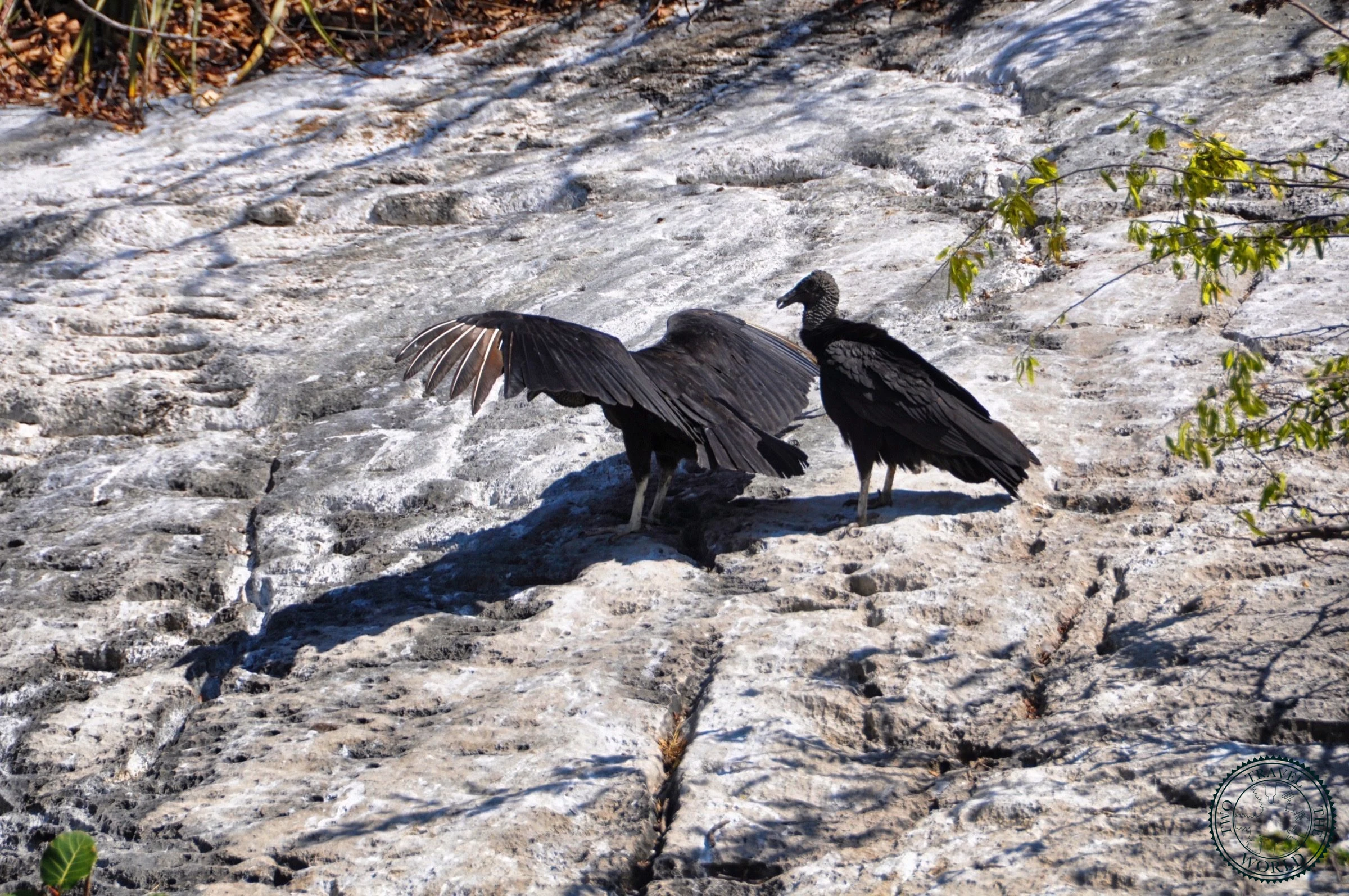 Le Canyon De Sumidero - photo 8
