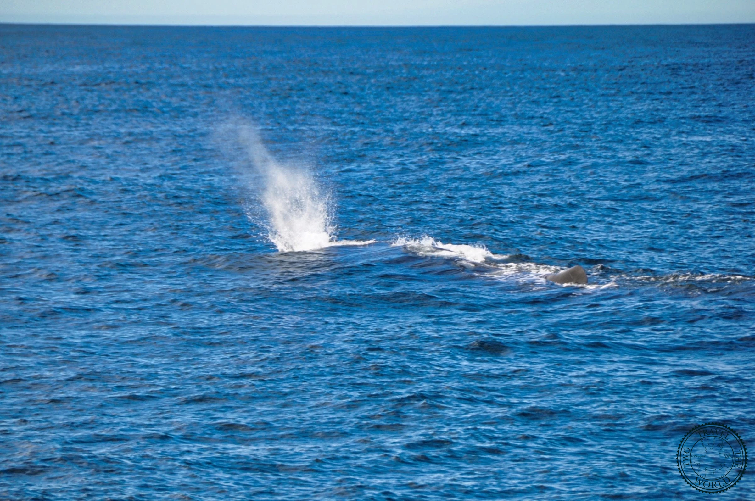 New Zealand Kaikoura 18