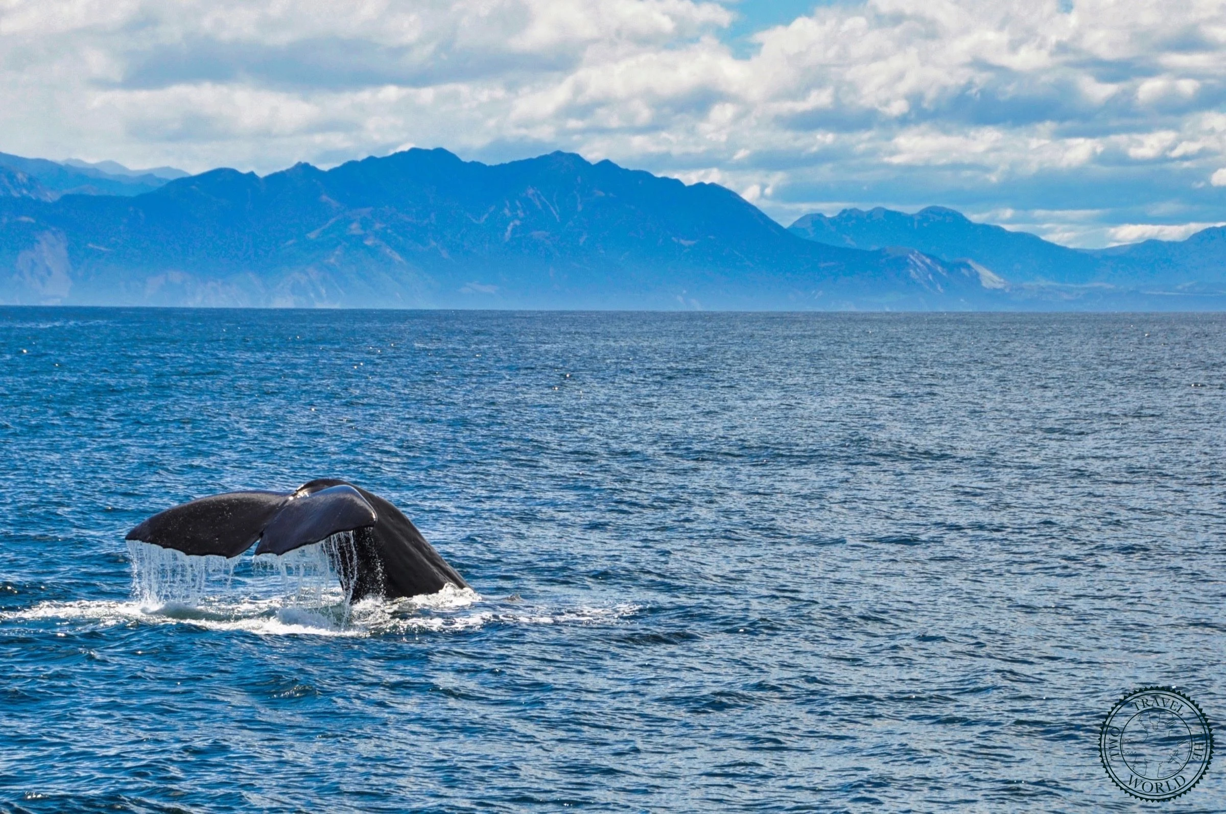 New Zealand Kaikoura 19