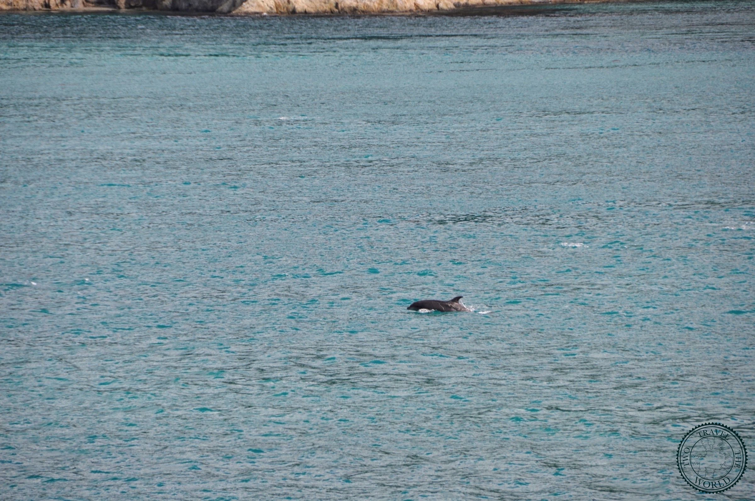 New Zealand Picton 14