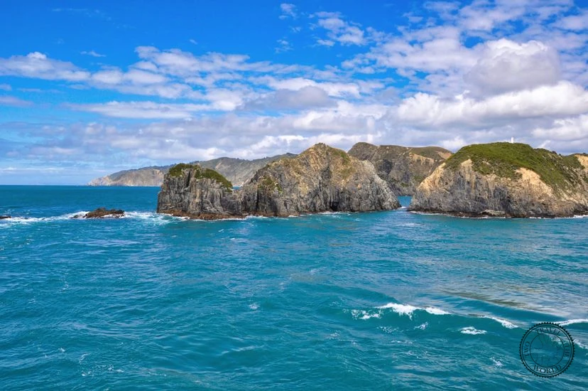 NewZealand Picton 03