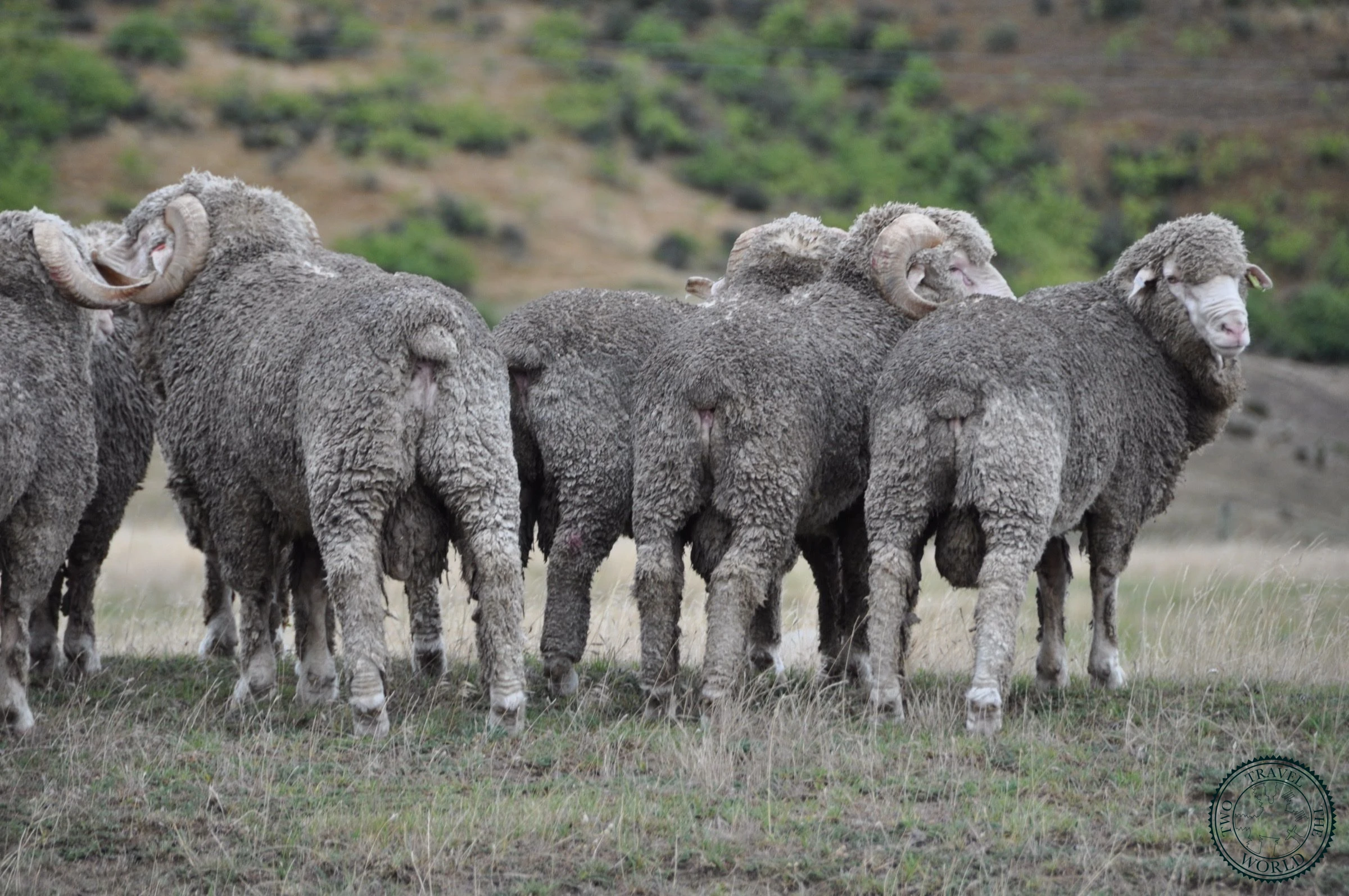 New Zealand Queenstown 20