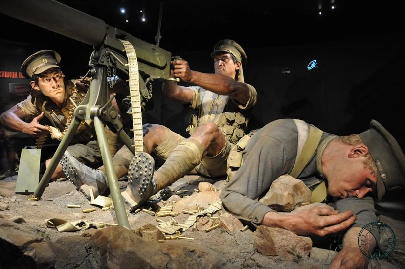 NewZealand Wellington 03