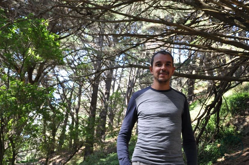 NewZealand Wellington 04