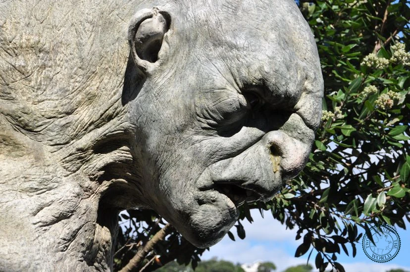 NewZealand Wellington 09