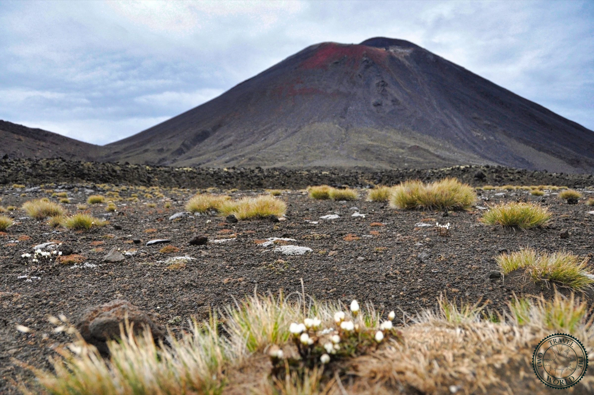 Alpine Crossing Tongariro - photo 29