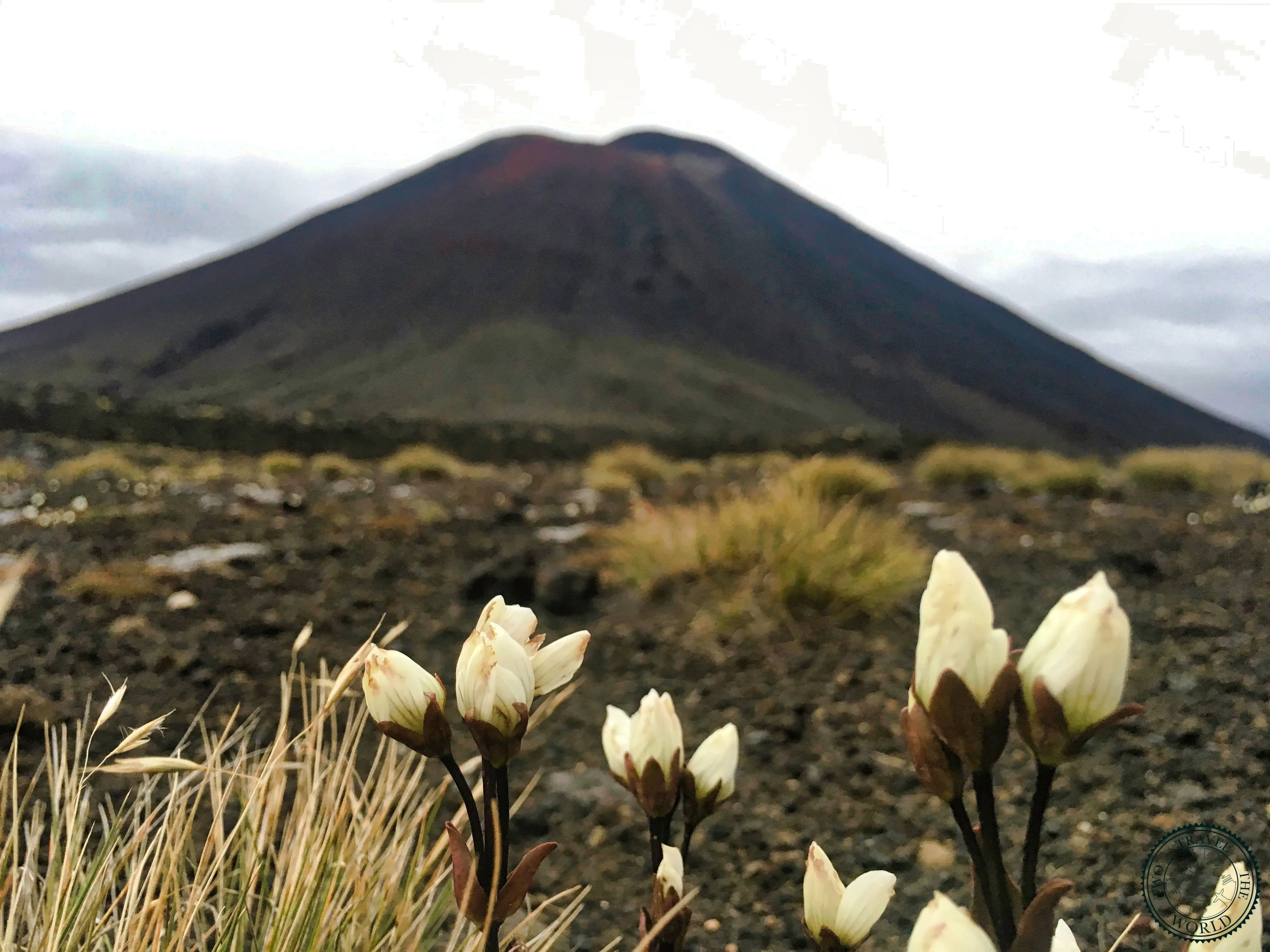 Alpine Crossing Tongariro