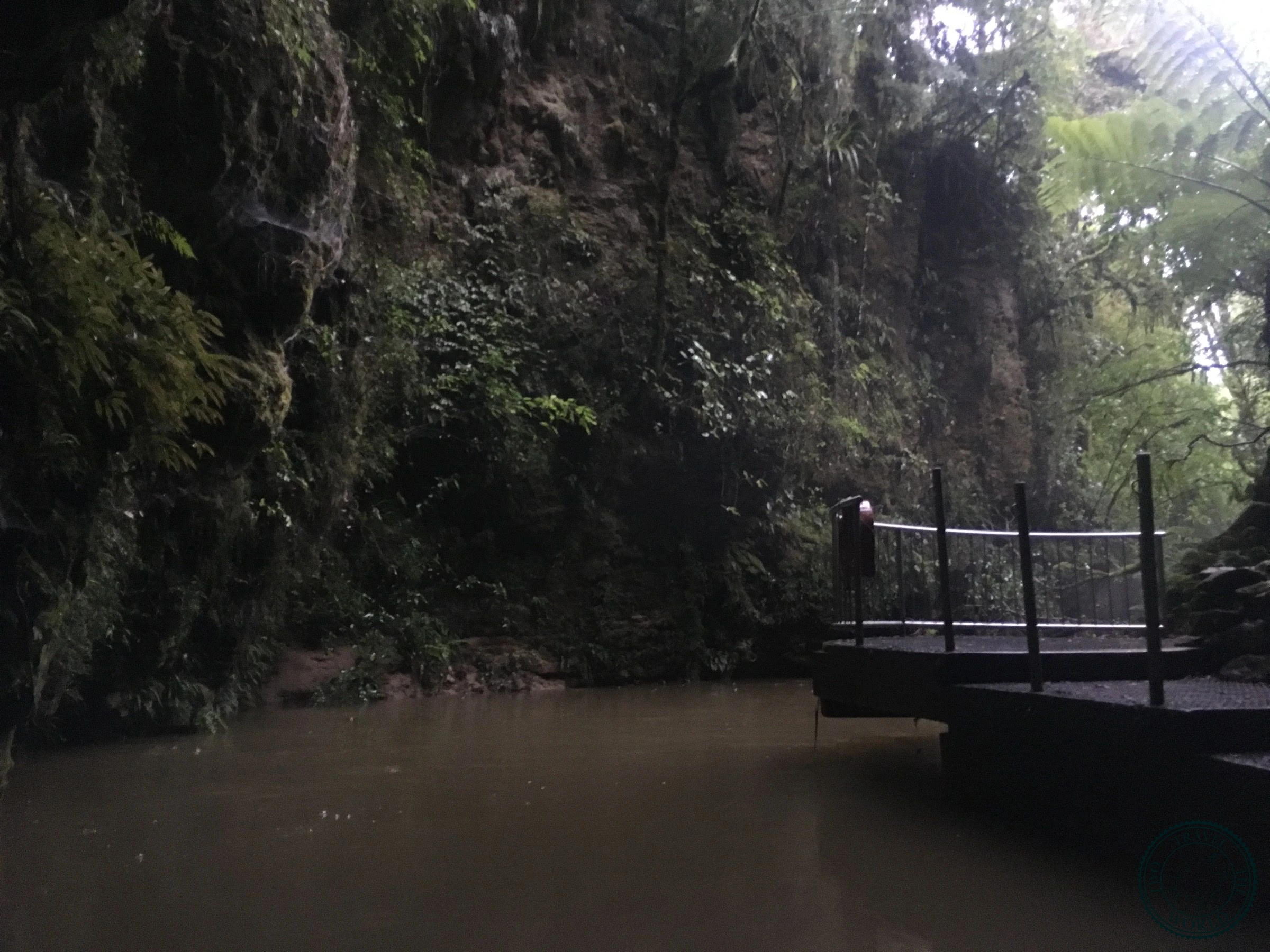 La Grotte De Waitomo - photo 7