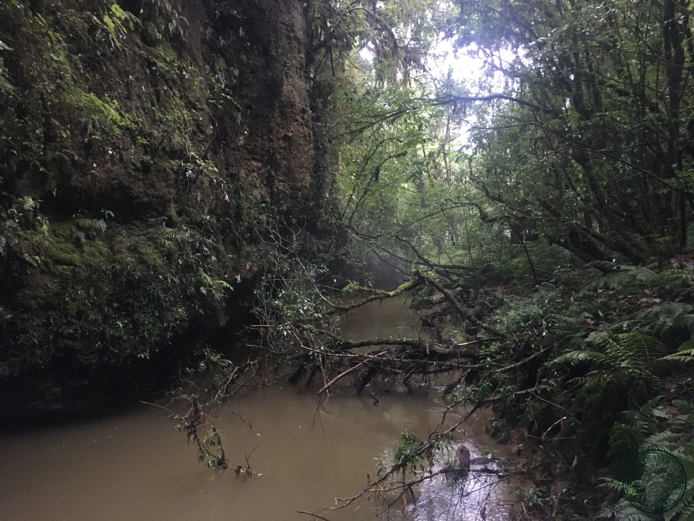 La Grotte De Waitomo - photo 9