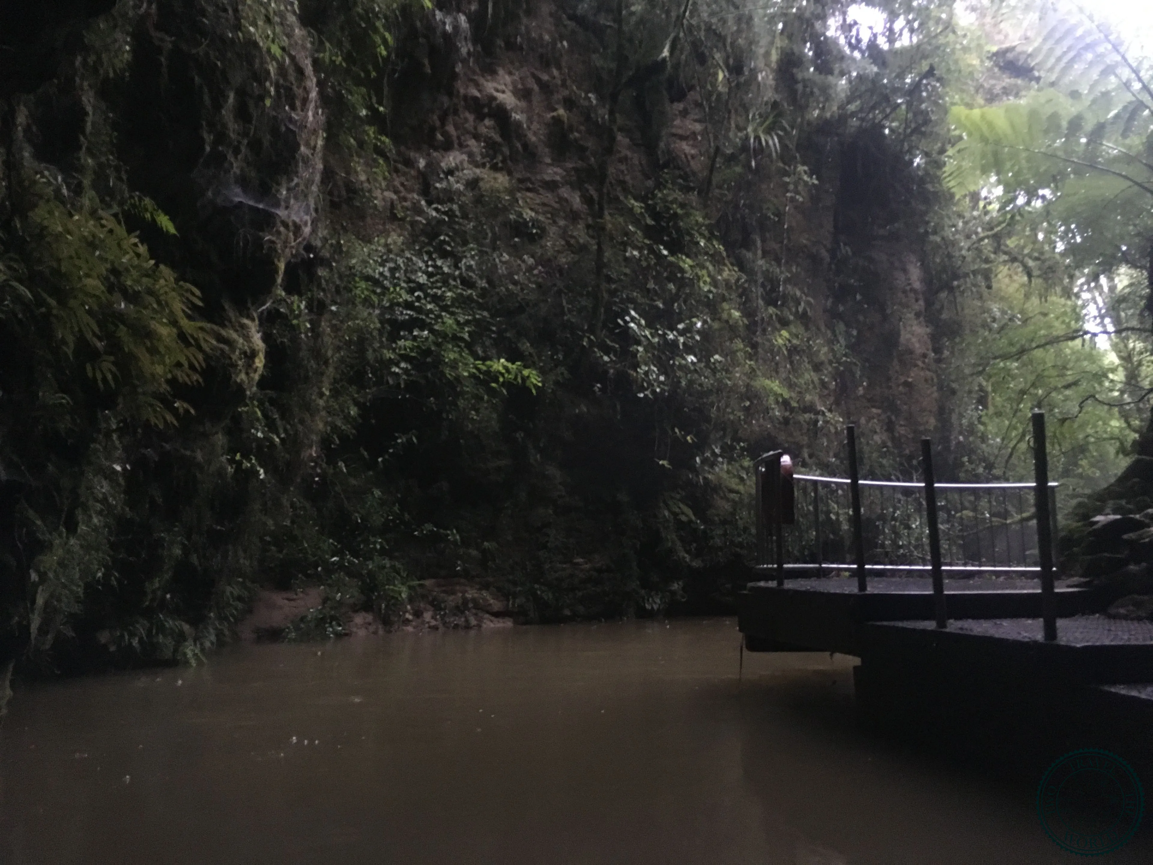 La Grotte De Waitomo