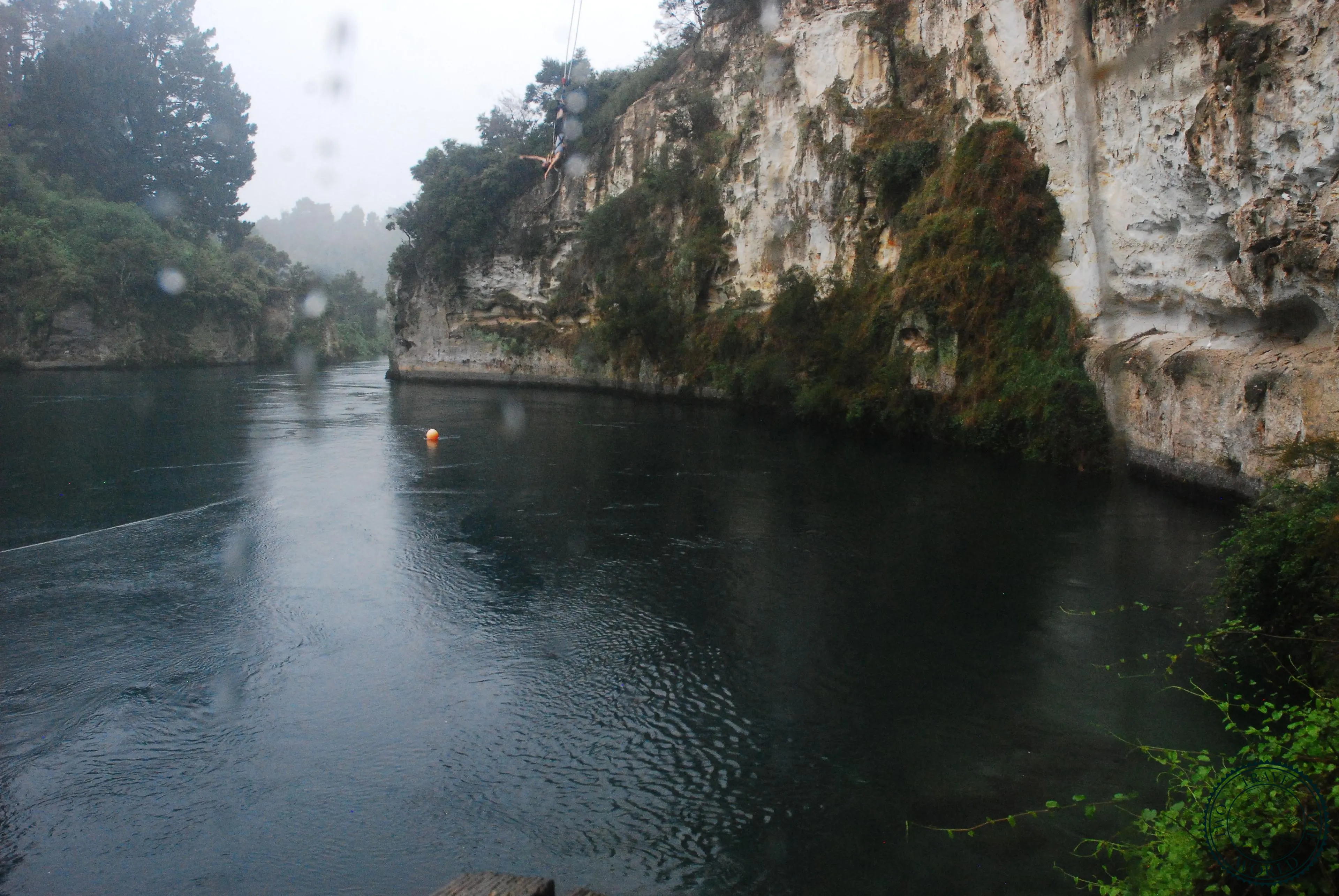 Saut À L'élastique En Nouvelle-Zélande