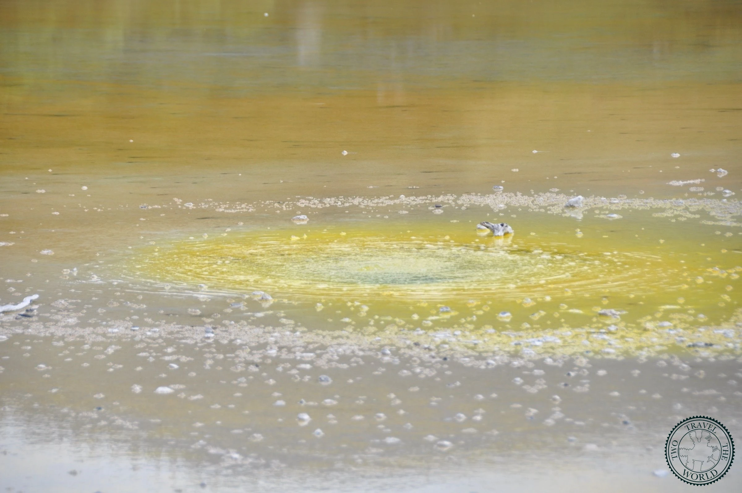 Wai-O-Tapu Le Pays Magique Thermal - photo 25