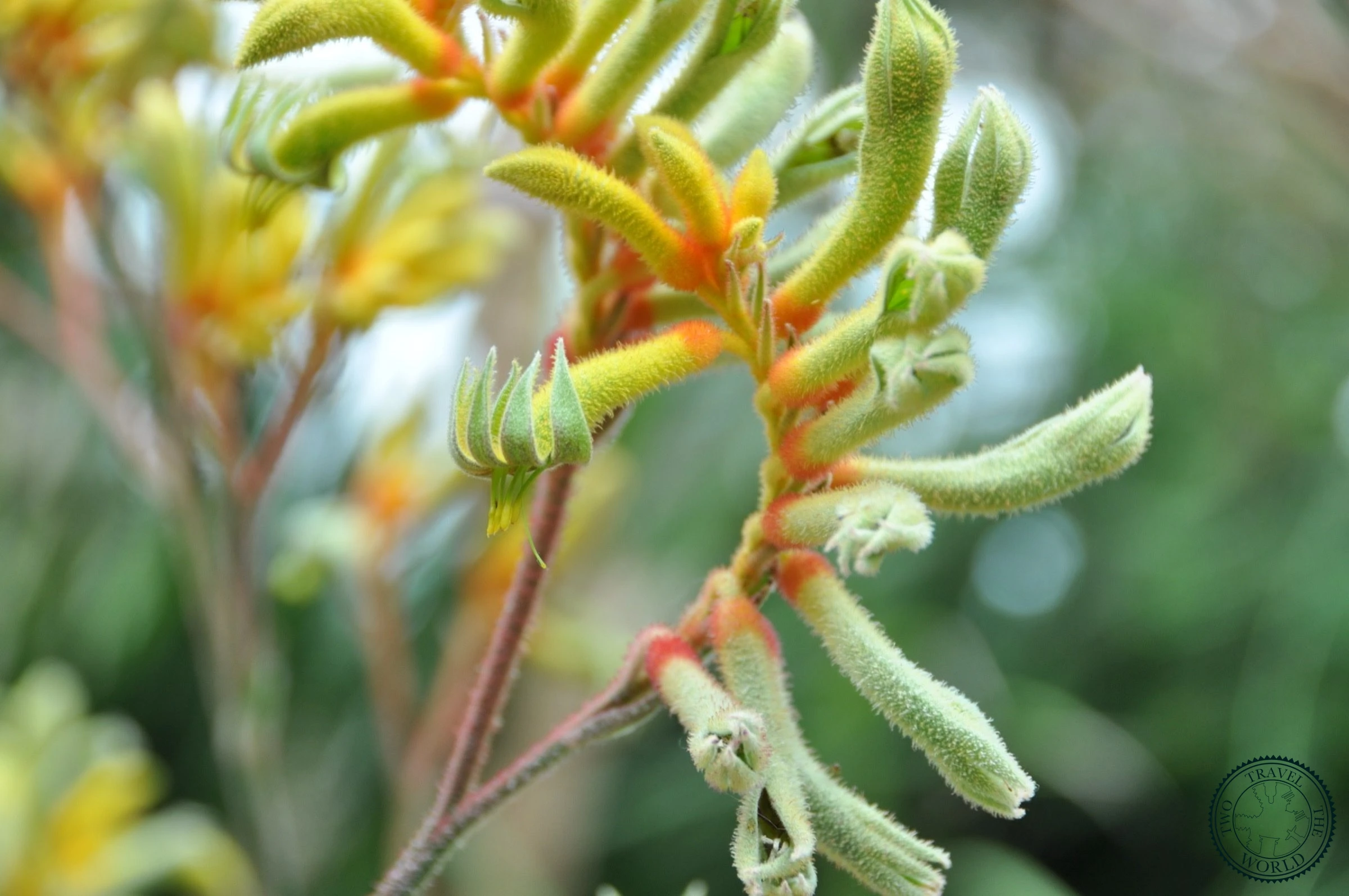 Garden By The Bay - photo 6