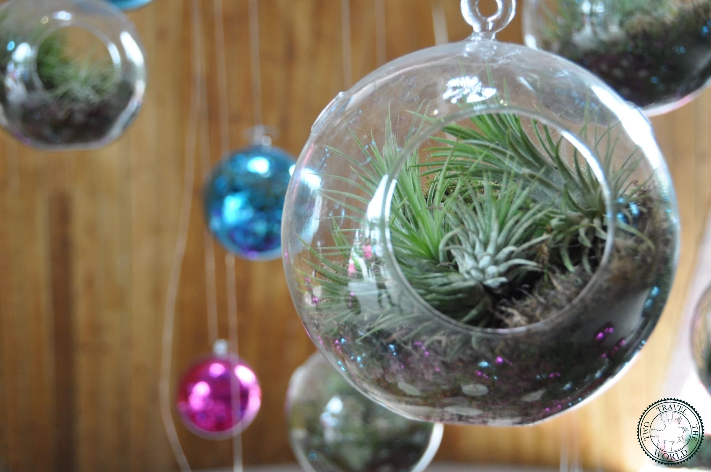 Garden By The Bay - photo 8