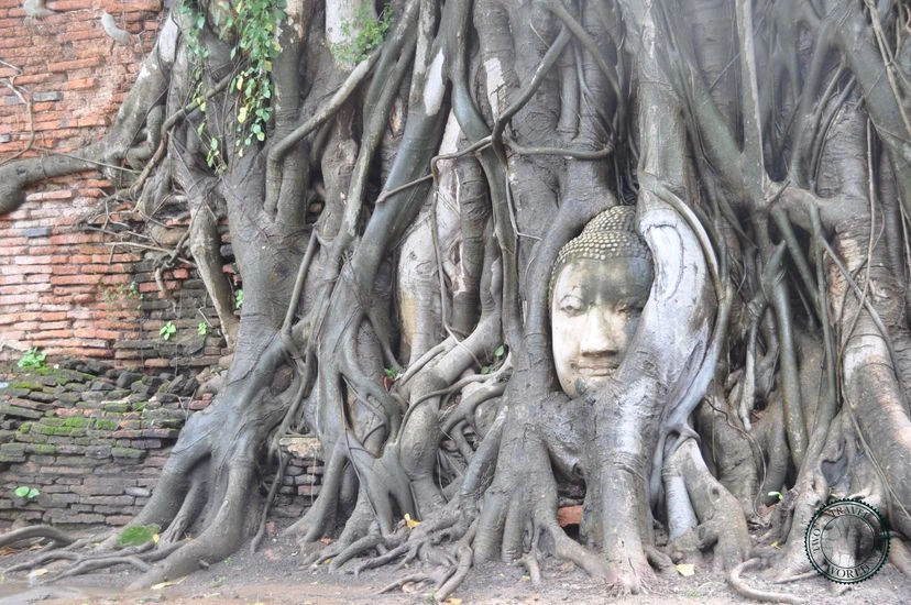 Thailand Ayutthaya 08