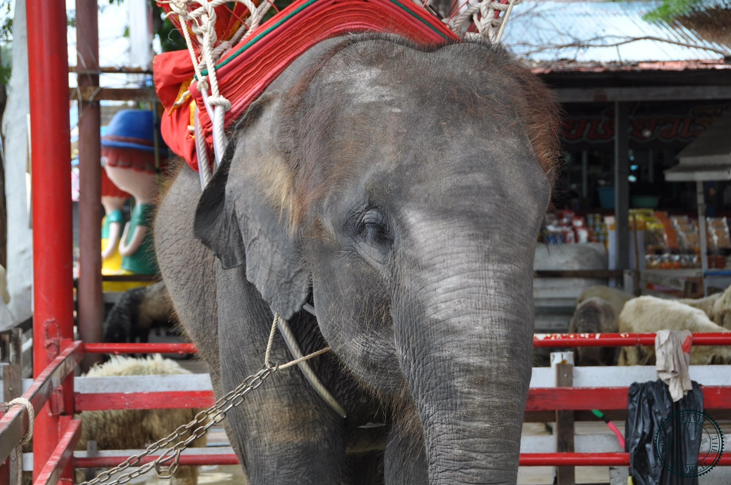Thailand Ayutthaya 12