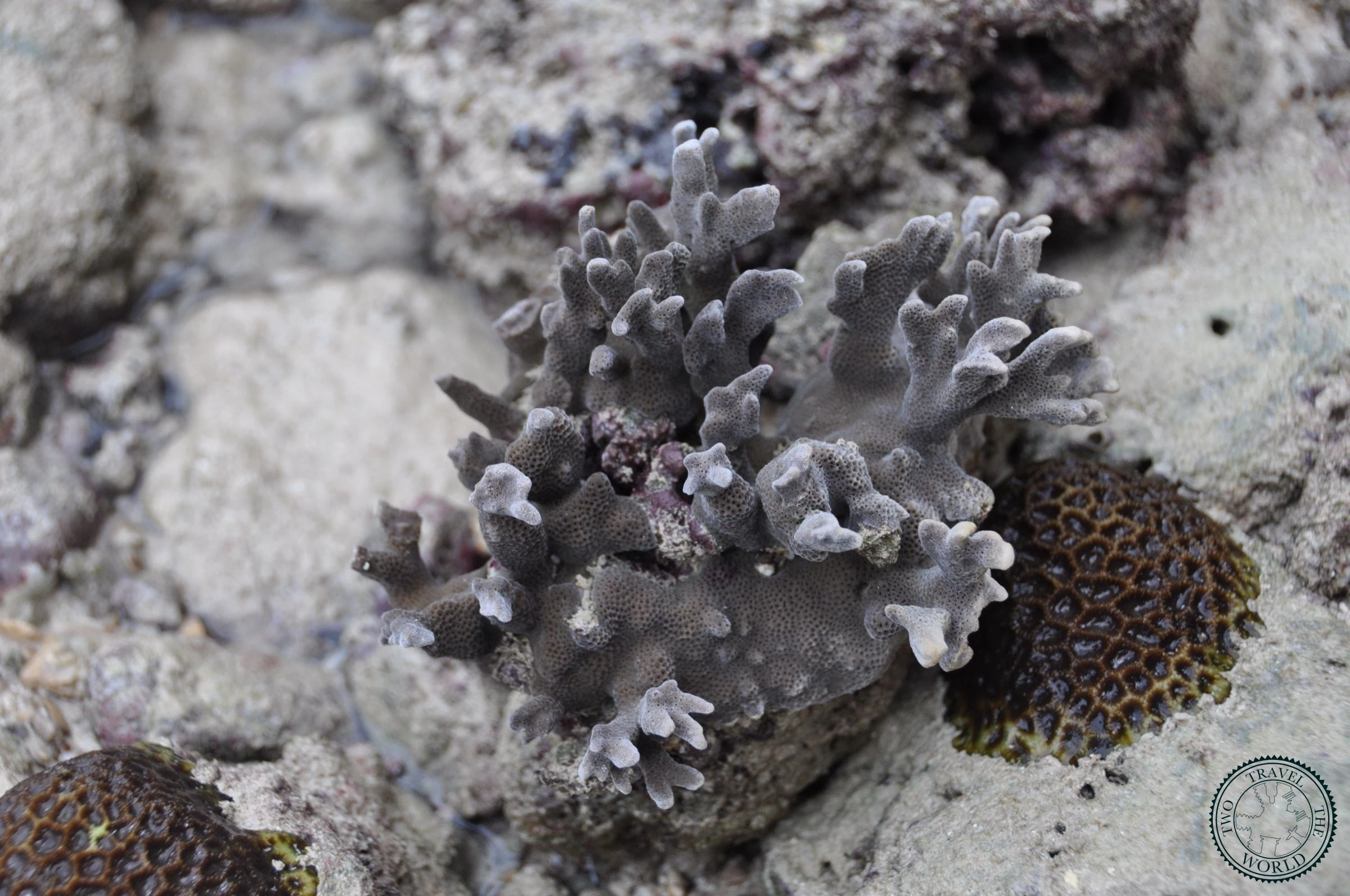 Maya Beach - photo 4