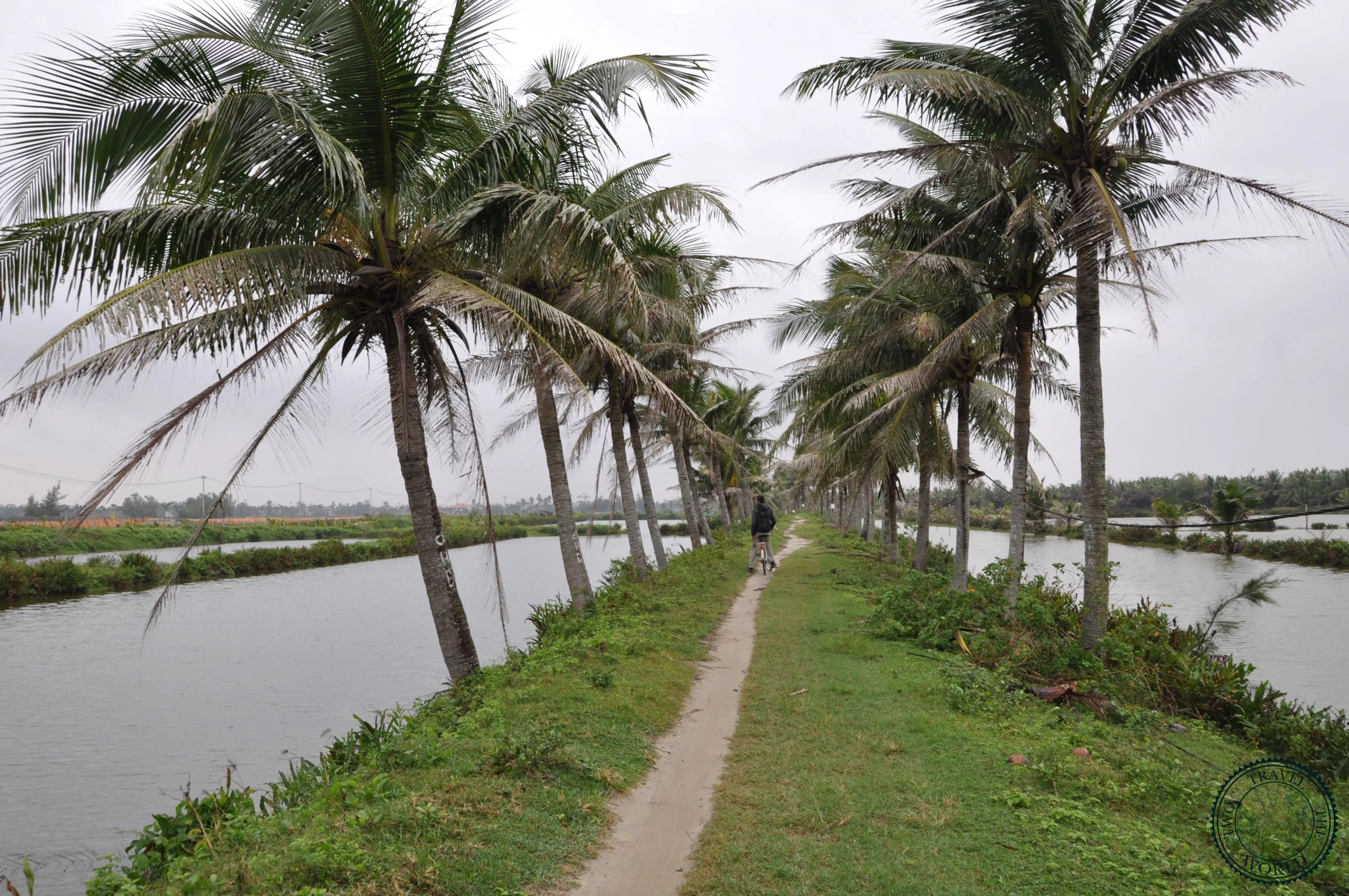 Petit Circuit En Vélo À Hoi An
