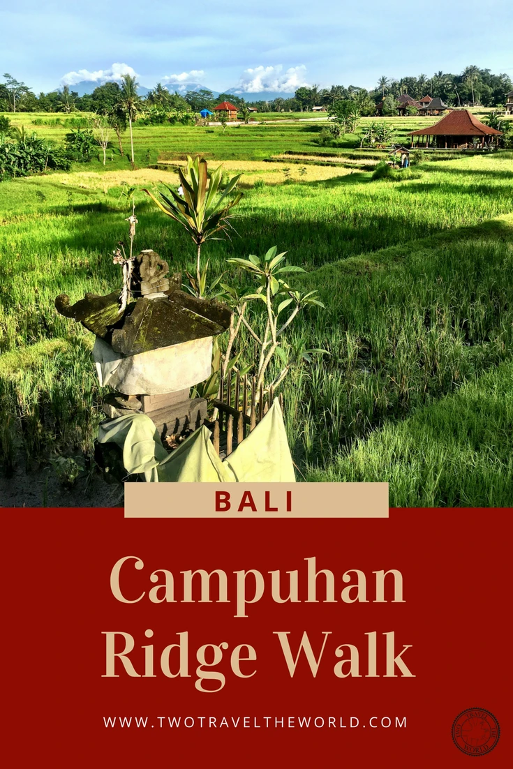 Ultimate guide to Campuhan Ridge Walk in Ubud - Best times, what to bring, and photography tips