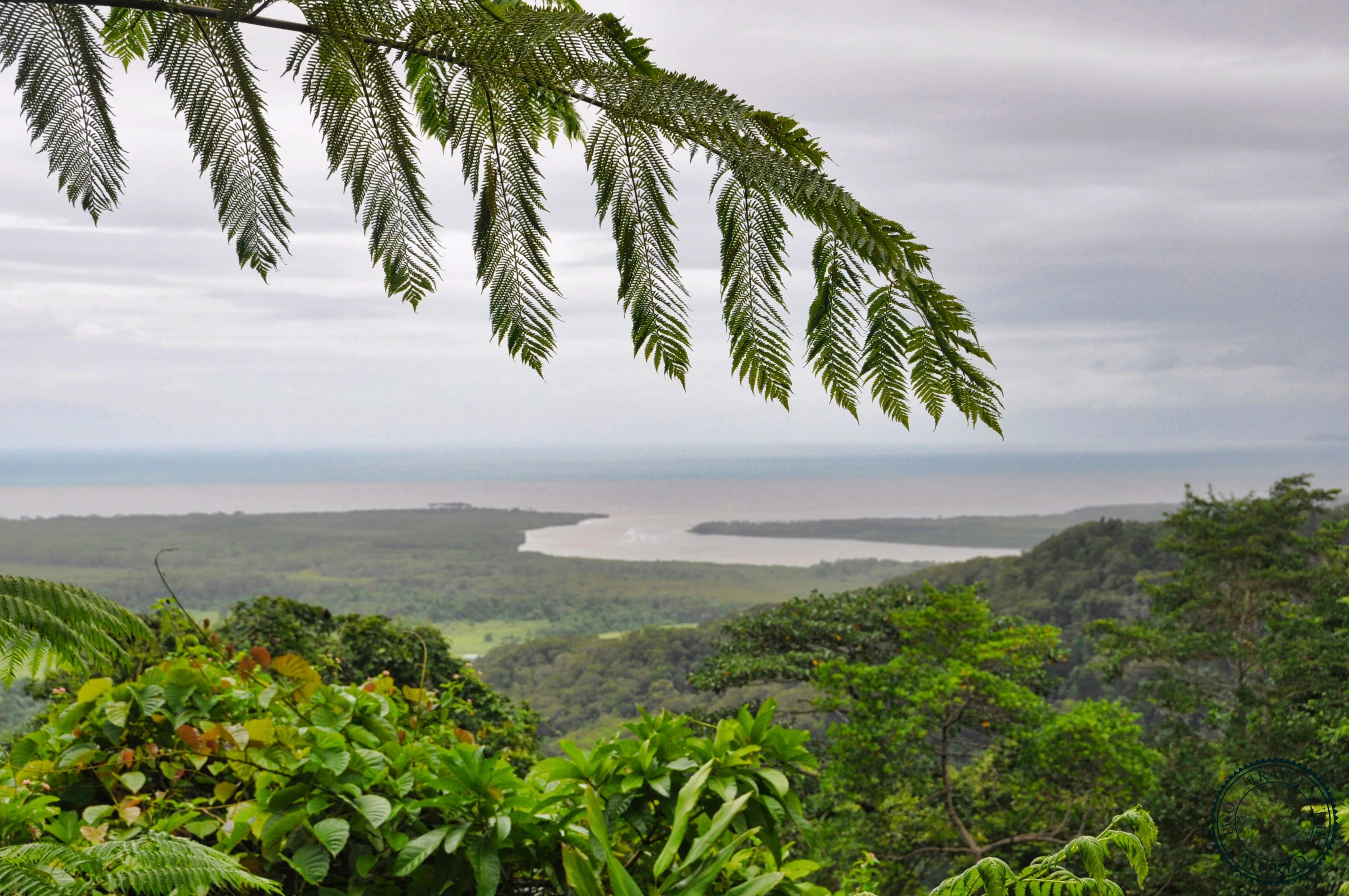 Flooded boardwalk trail through the Daintree Rainforest with viewing platforms overlooking the dense tropical vegetation