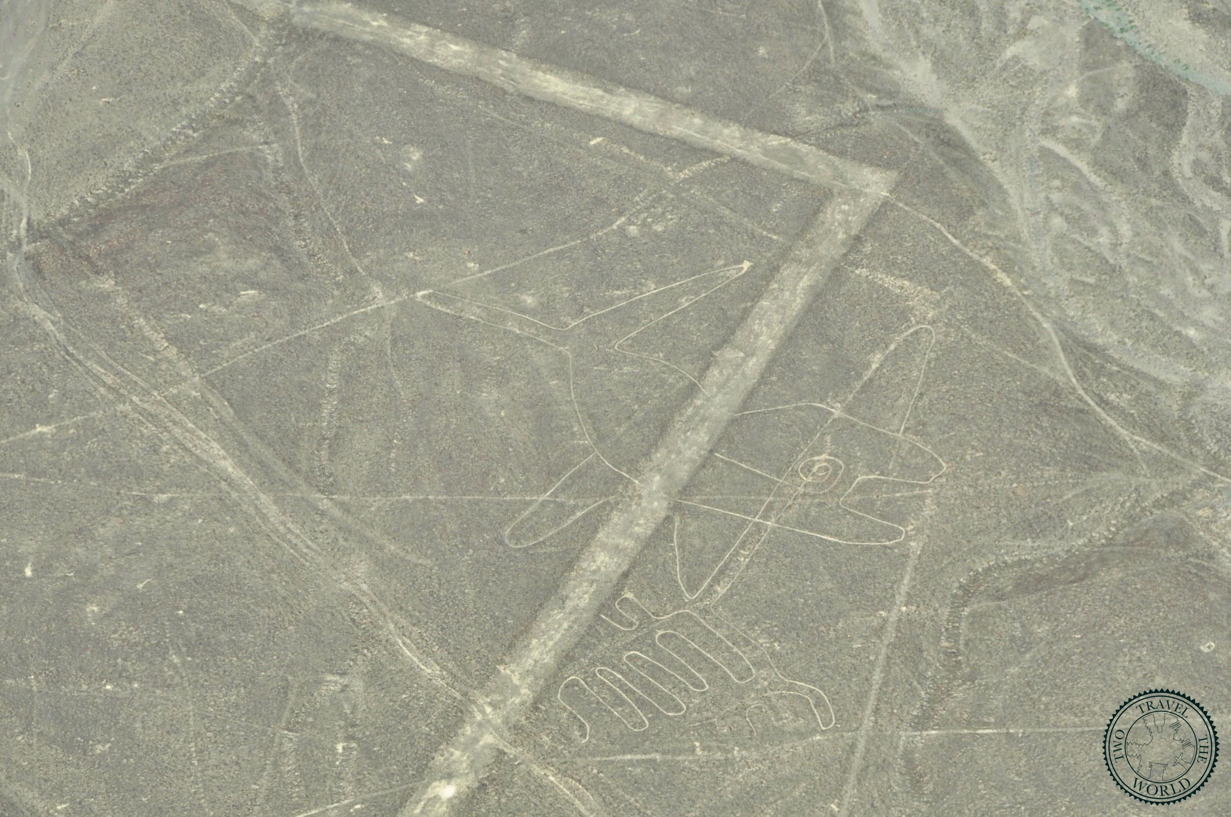 The Whale geoglyph at Nazca - a massive ancient drawing etched in the desert sand viewed from above