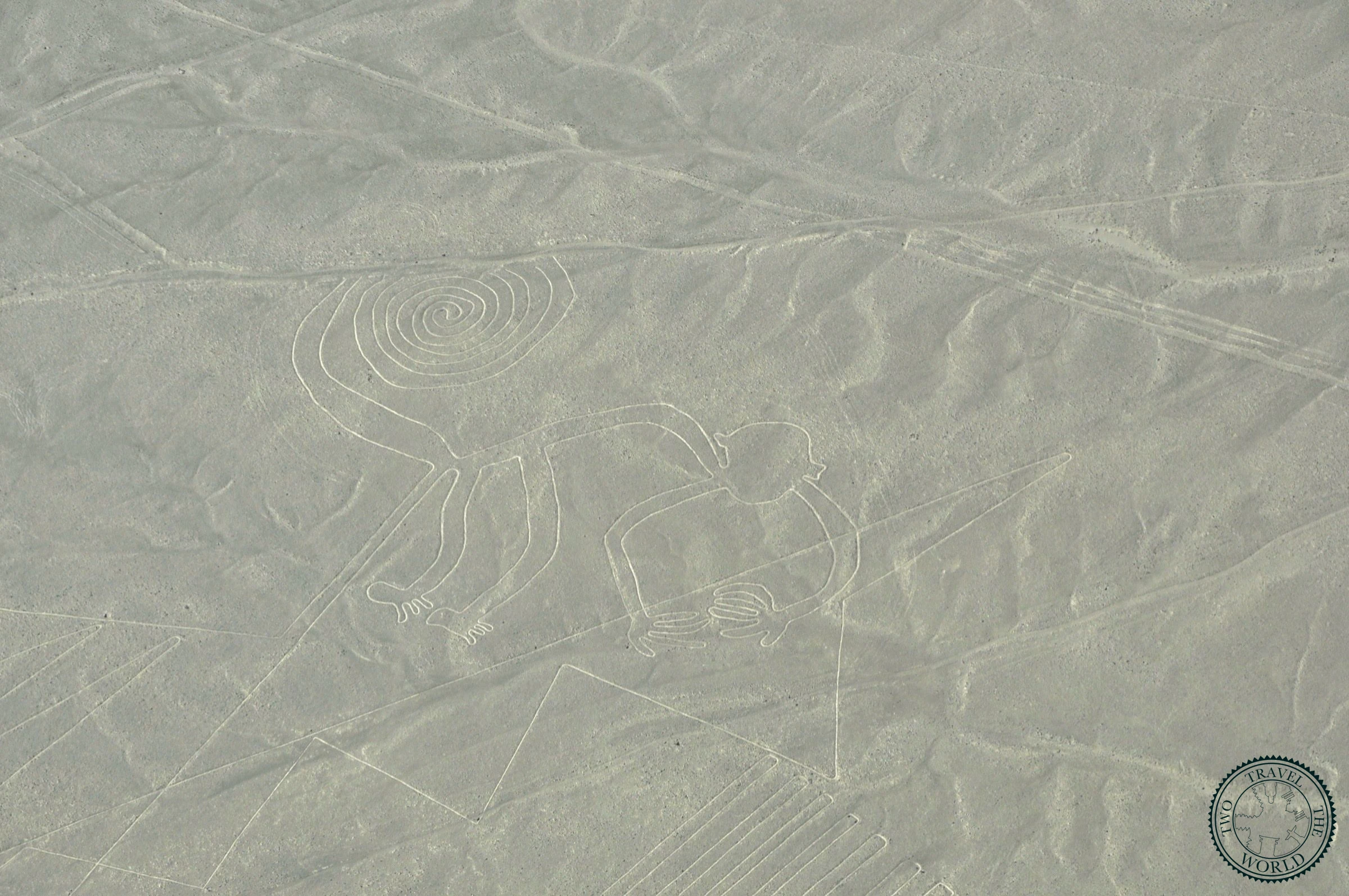The Monkey geoglyph with distinctive spiral tail carved into the Nazca Desert