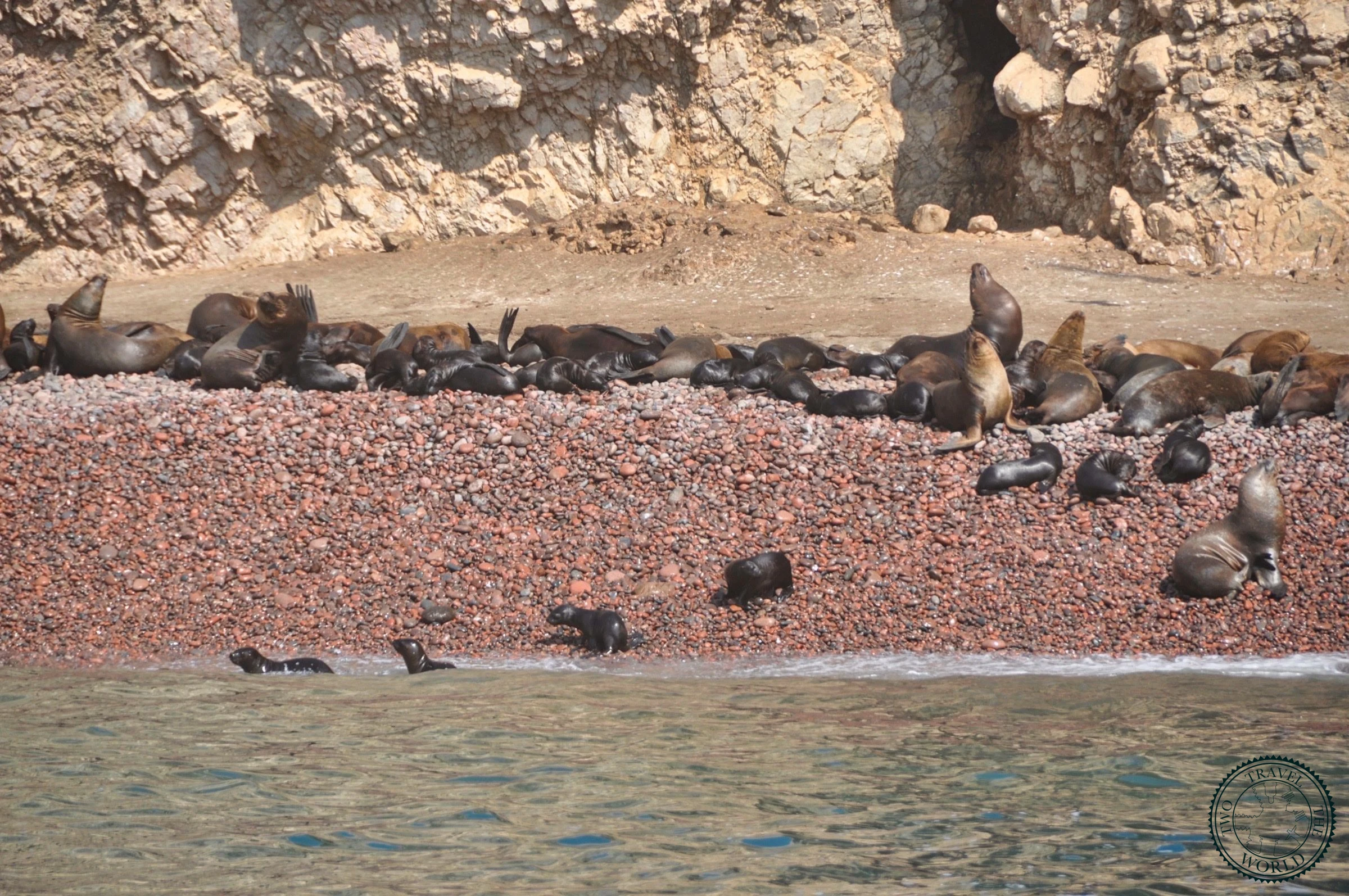 Peruvian boobies and cormorants perched on guano-covered rocks at Ballestas Islands