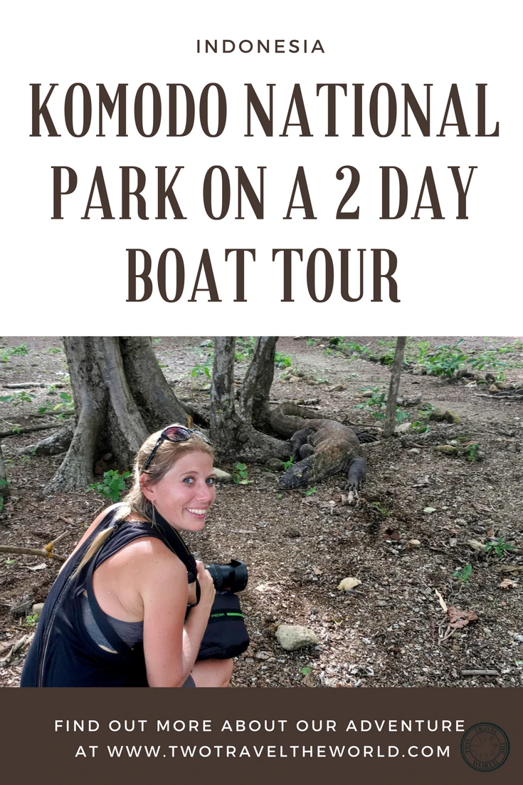 Complete guide to Komodo National Park boat tours - Budget vs luxury, what to expect, and how to see dragons