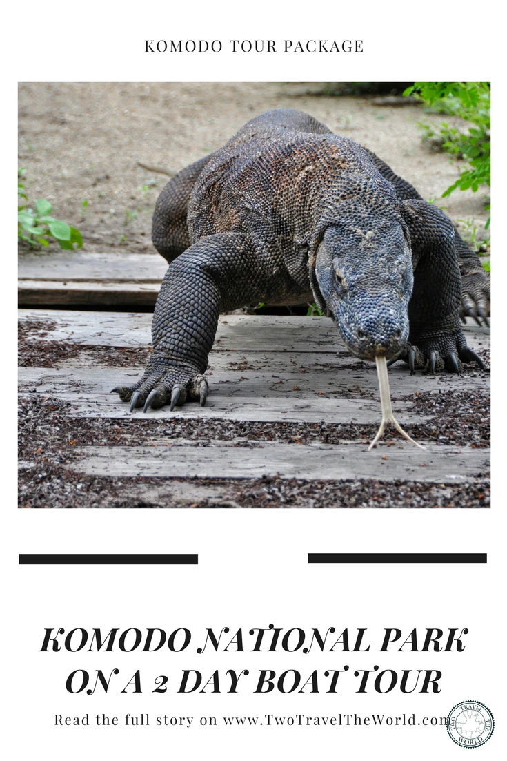 Face to face with Komodo dragons - Our 2-day boat expedition through Indonesia's Komodo National Park